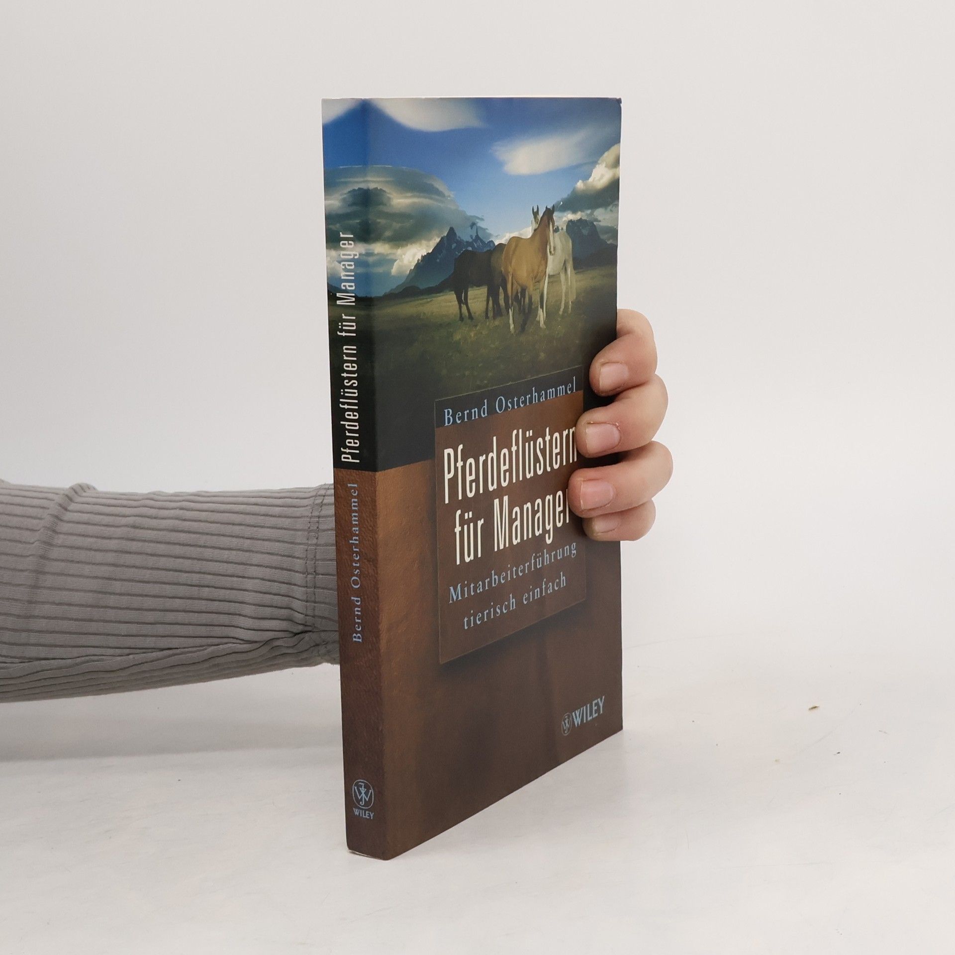 Pferdeflüstern für Manager