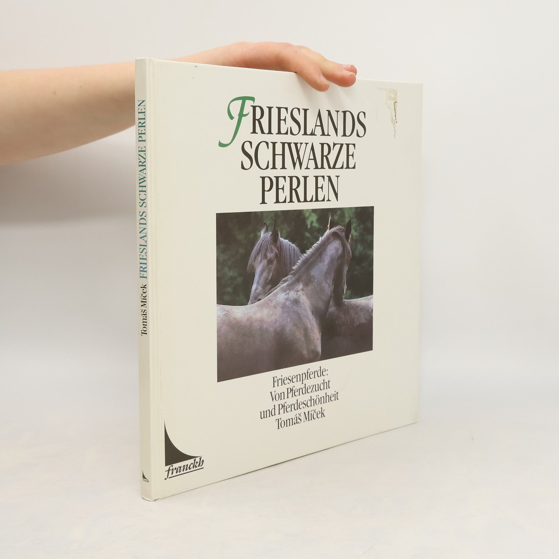 Frieslands schwarze Perlen. Friesenpferde. Von Pferdezucht und Pferdeschönheit