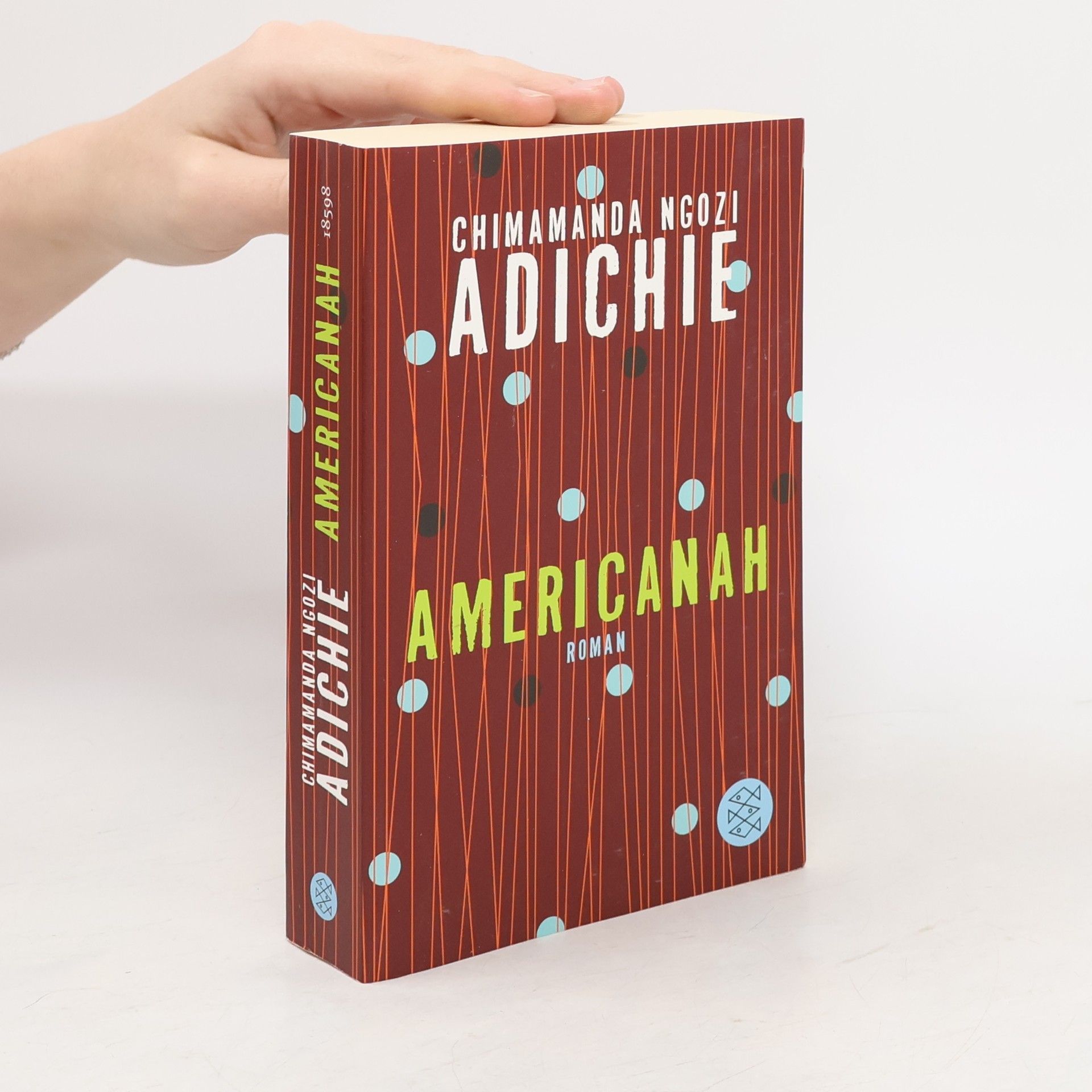 Chimamanda Ngozi Adichie Americanah