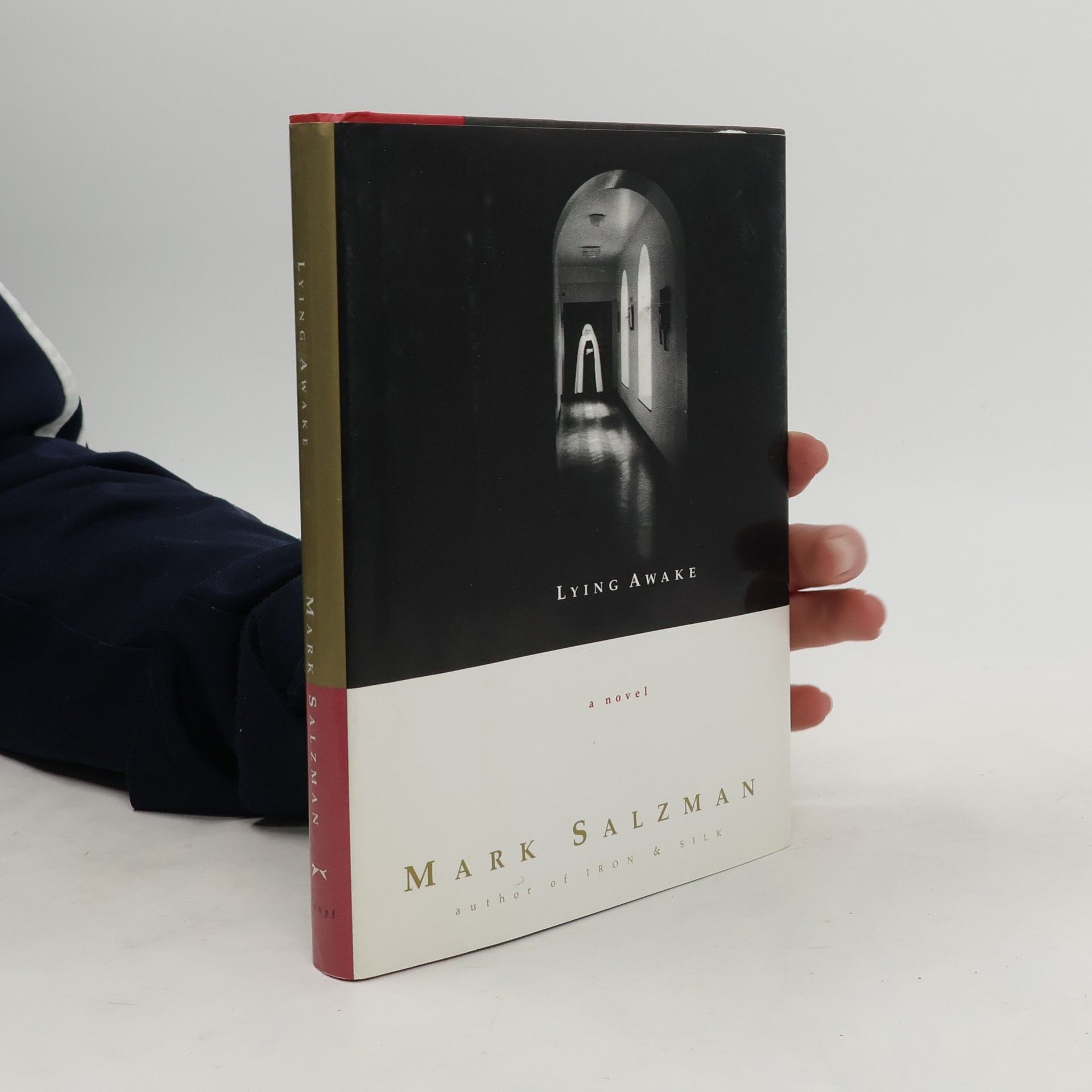 Mark Salzman Lying Awake