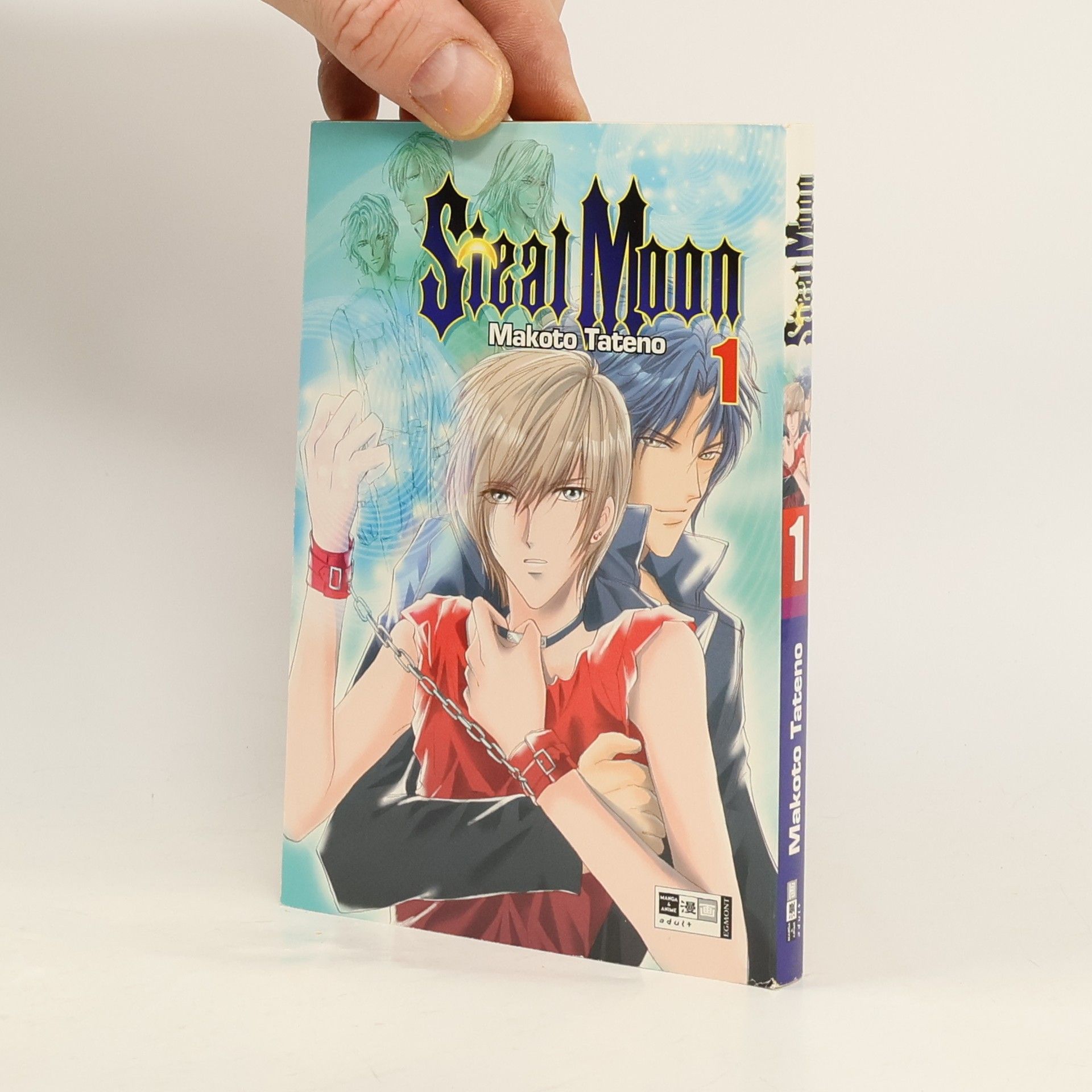 Auteurscollectief Steal moon