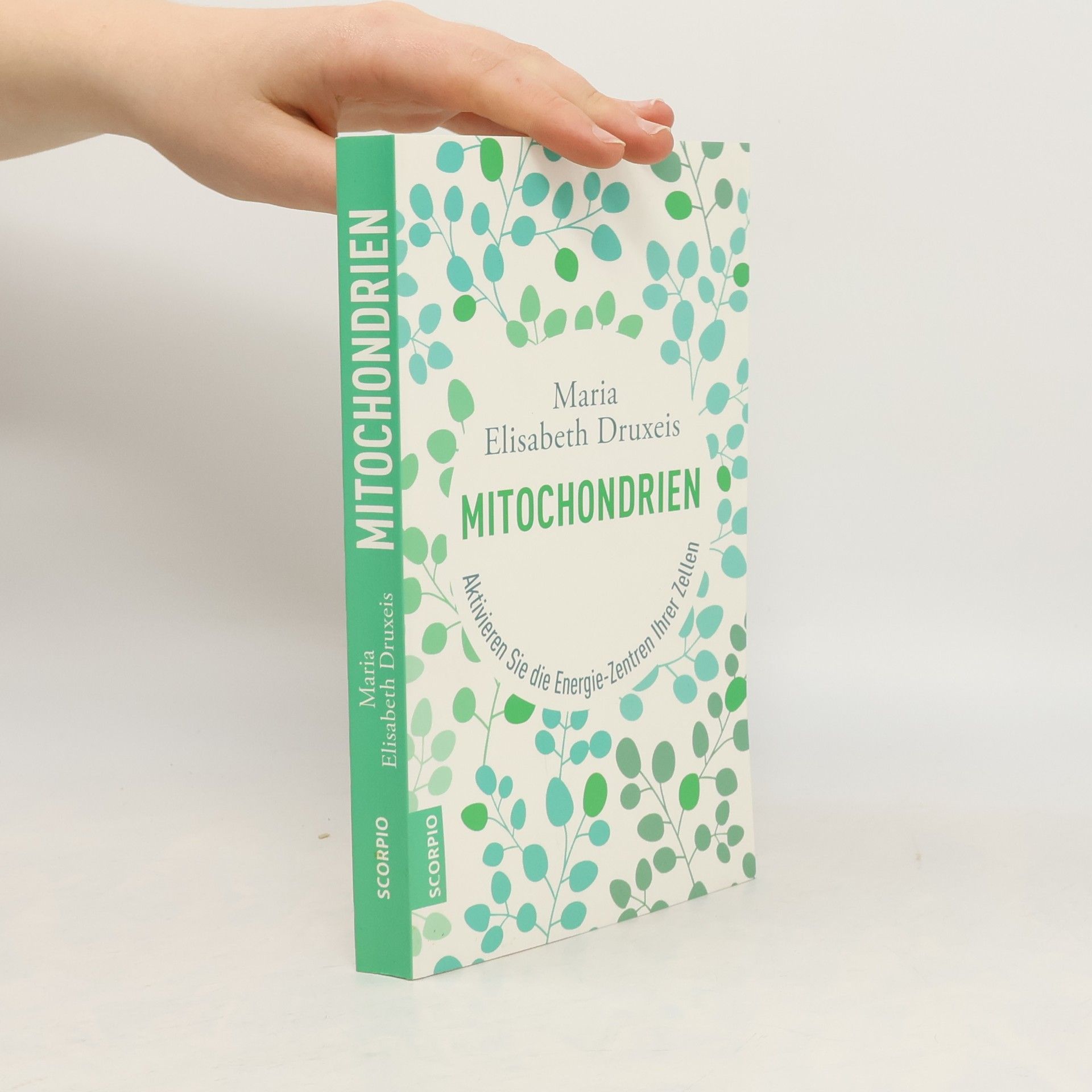 Maria Elisabeth Druxeis Mitochondrien