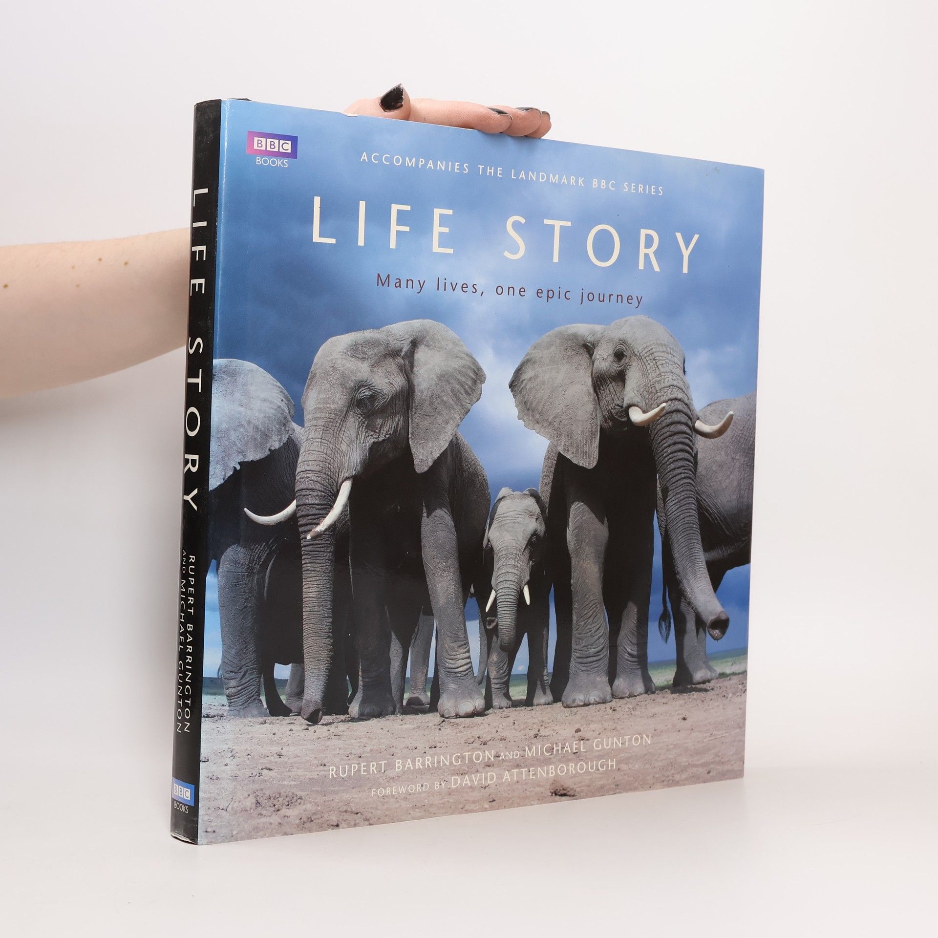 Mike Gunton Life Story