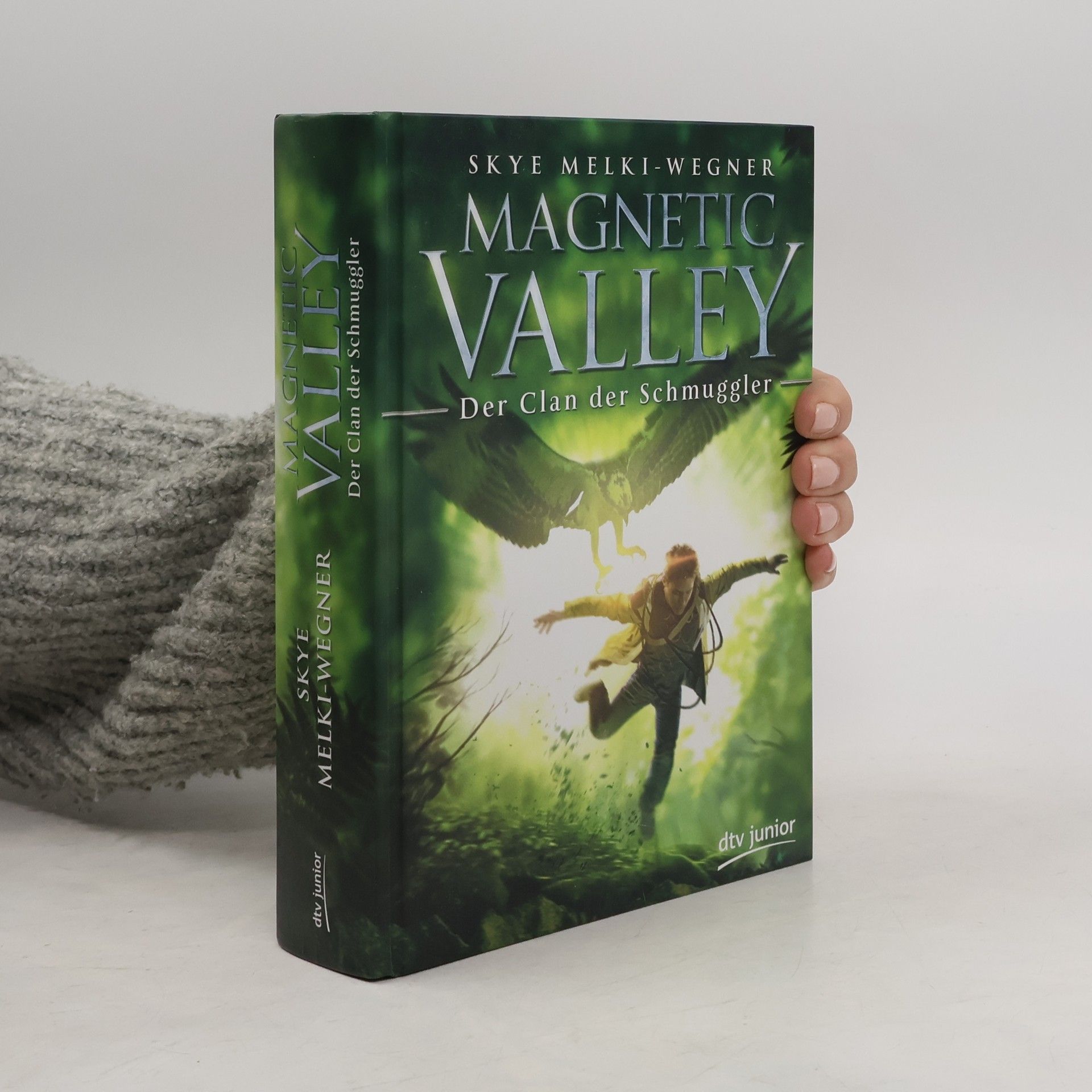 Skye Melki Wegner Magnetic Valley - Der Clan der Schmuggler