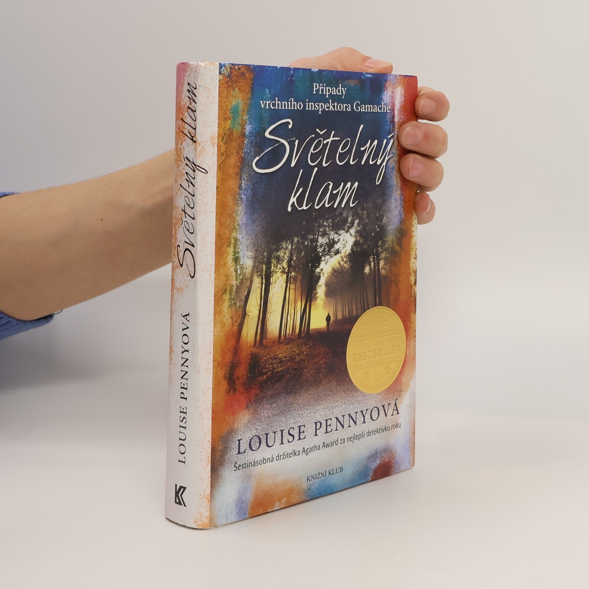 Louise Penny Světelný klam