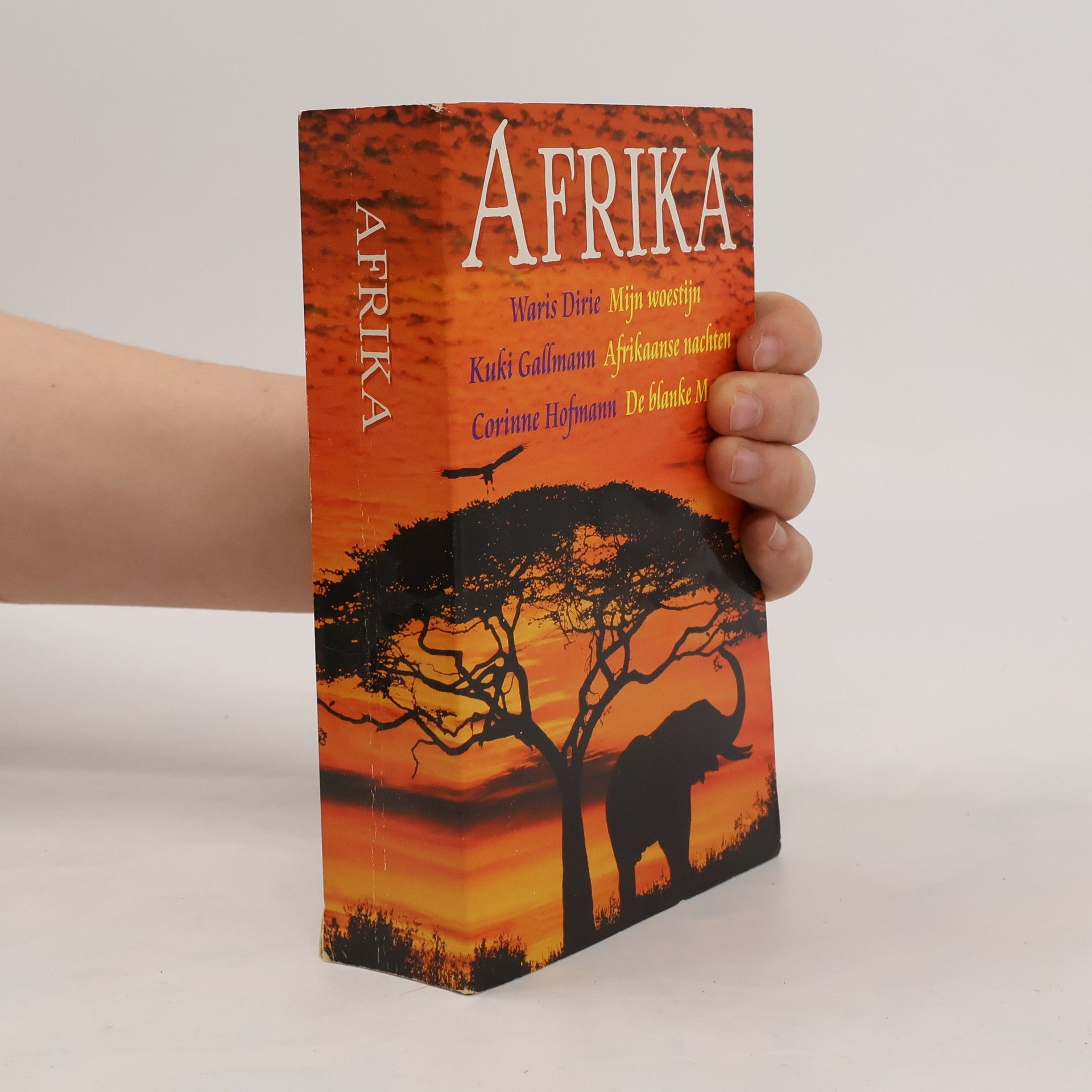 Autorenkollektiv Afrikaanse nachten