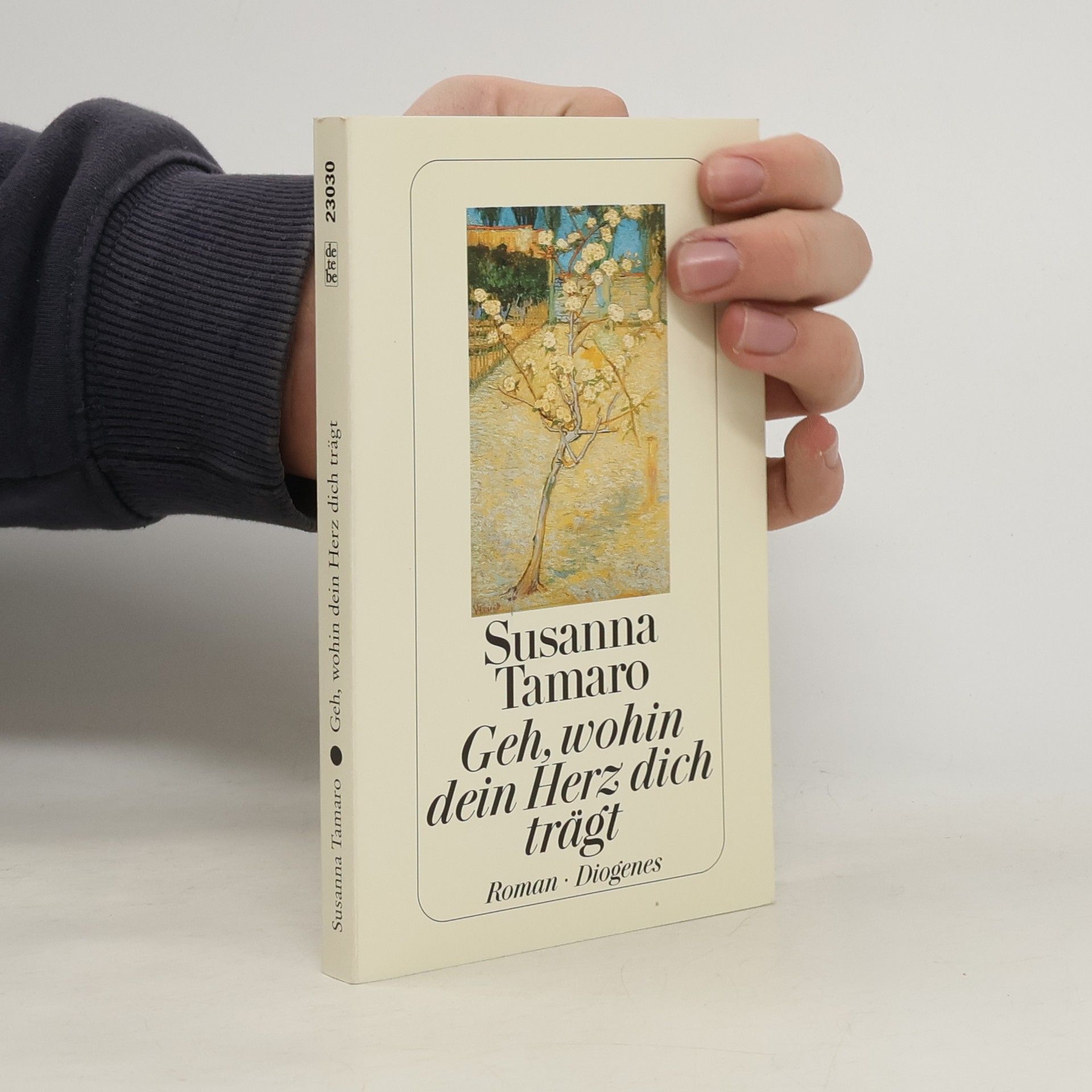 Susanna Tamaro Geh, wohin dein Herz dich trägt