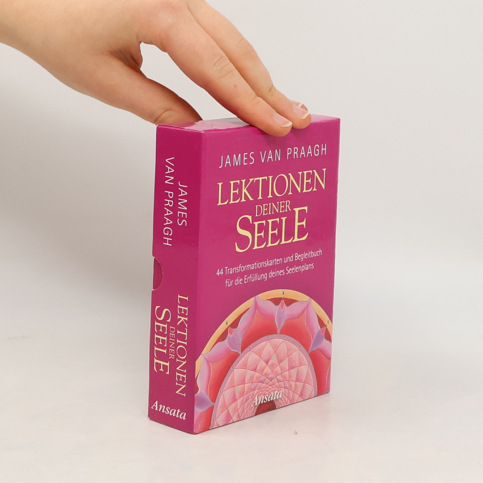 James Van Praagh Lektionen deiner Seele