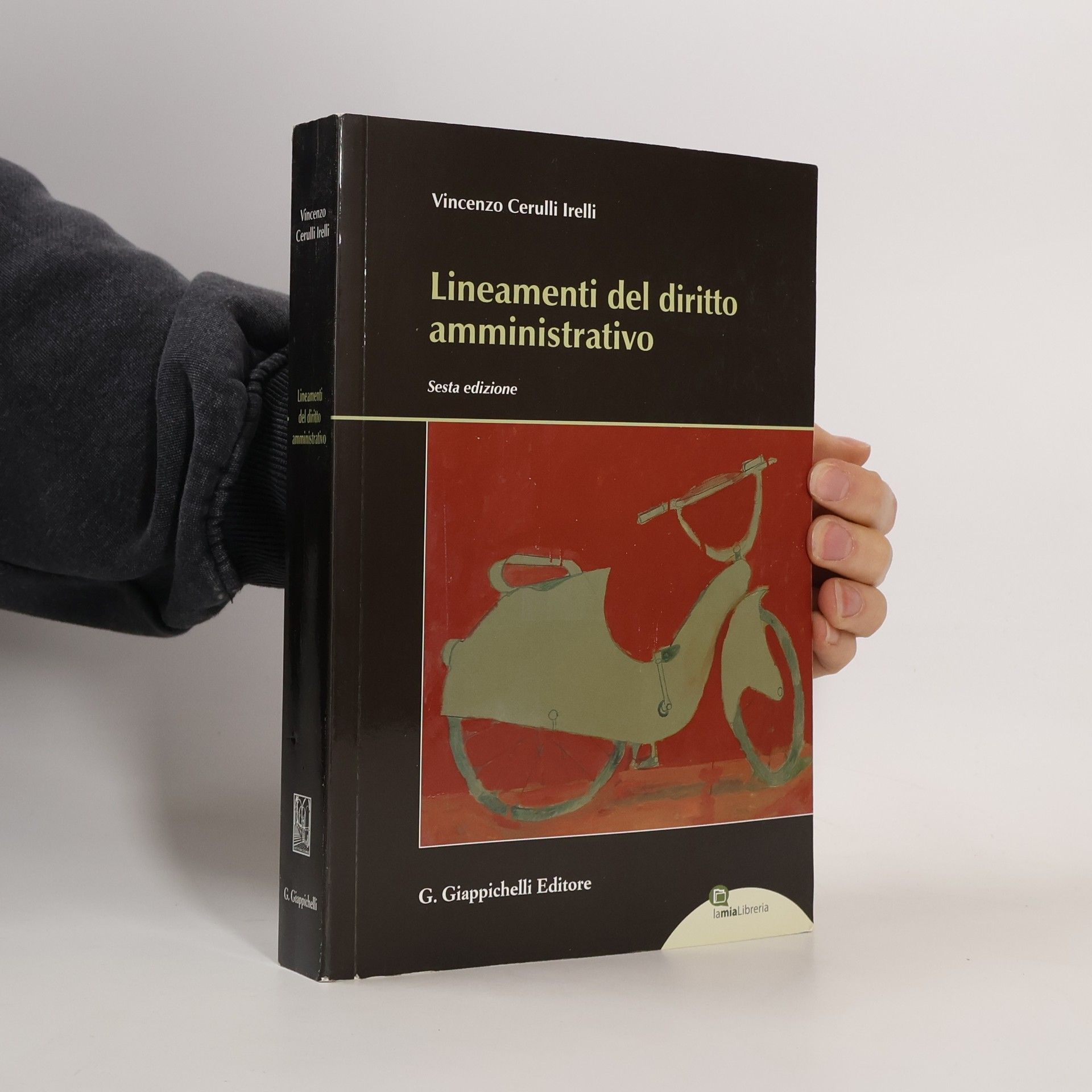 Vincenzo Cerulli Irelli Lineamenti del diritto amministrativo