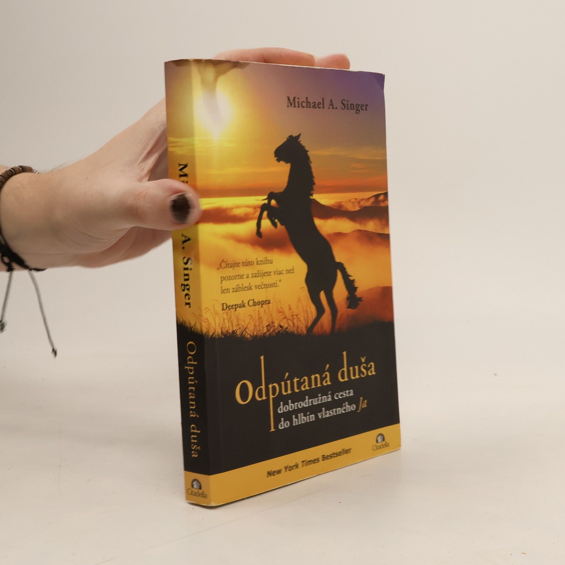 . Michael A. Singer prel. Barbora Daxner Odpútaná duša