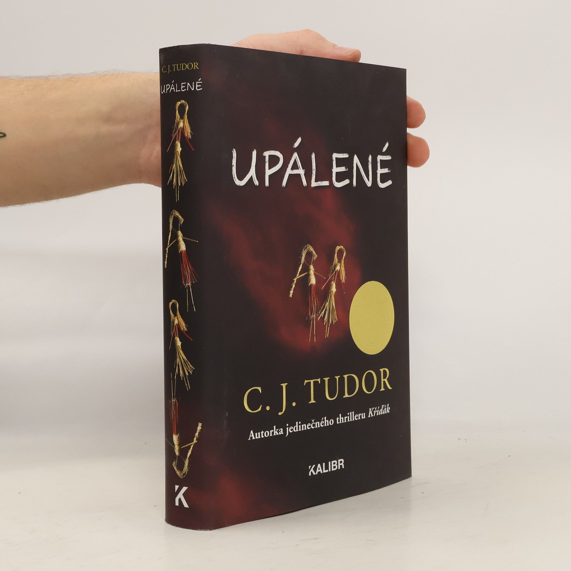 C. J. Tudor Upálené