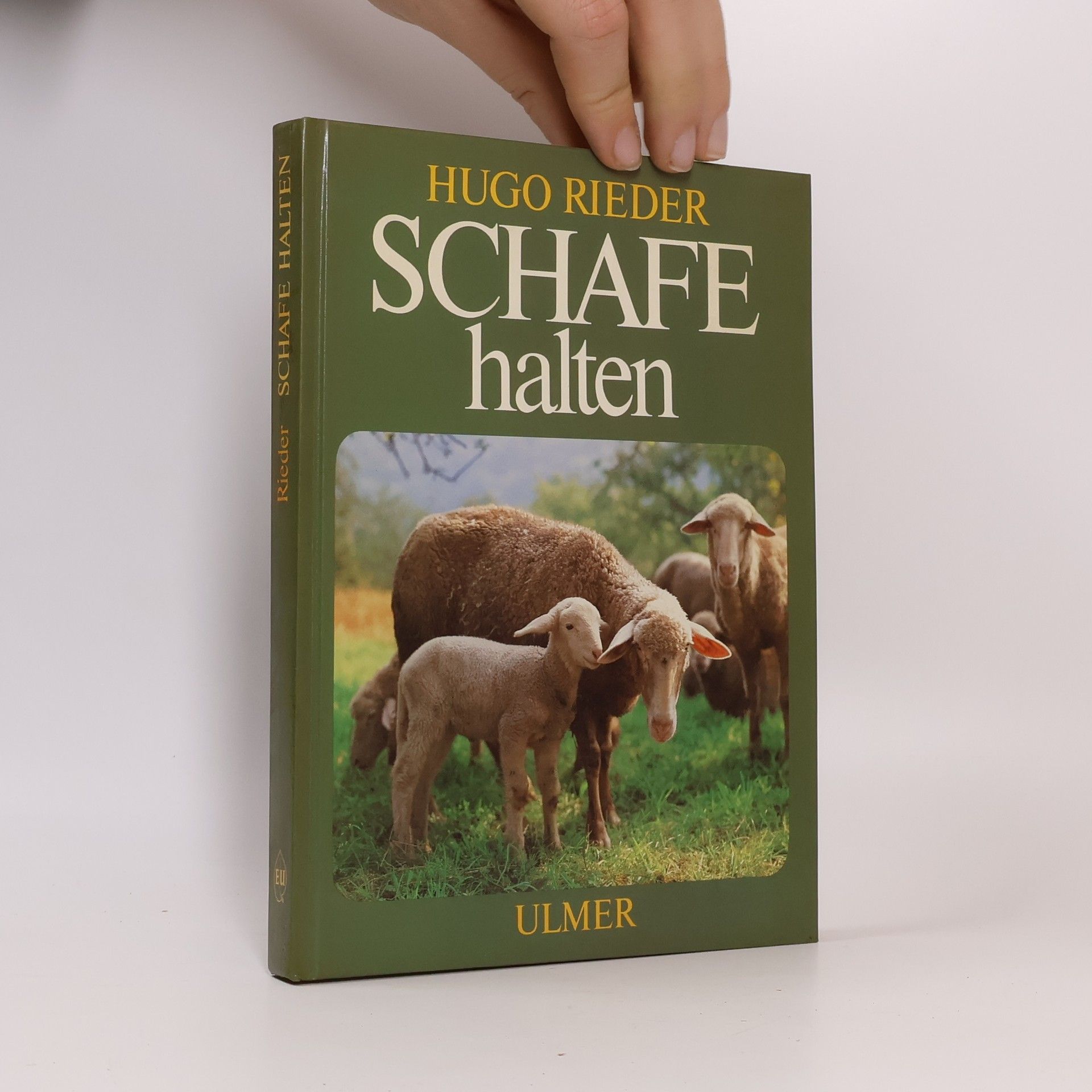 Hugo Rieder Schafe halten