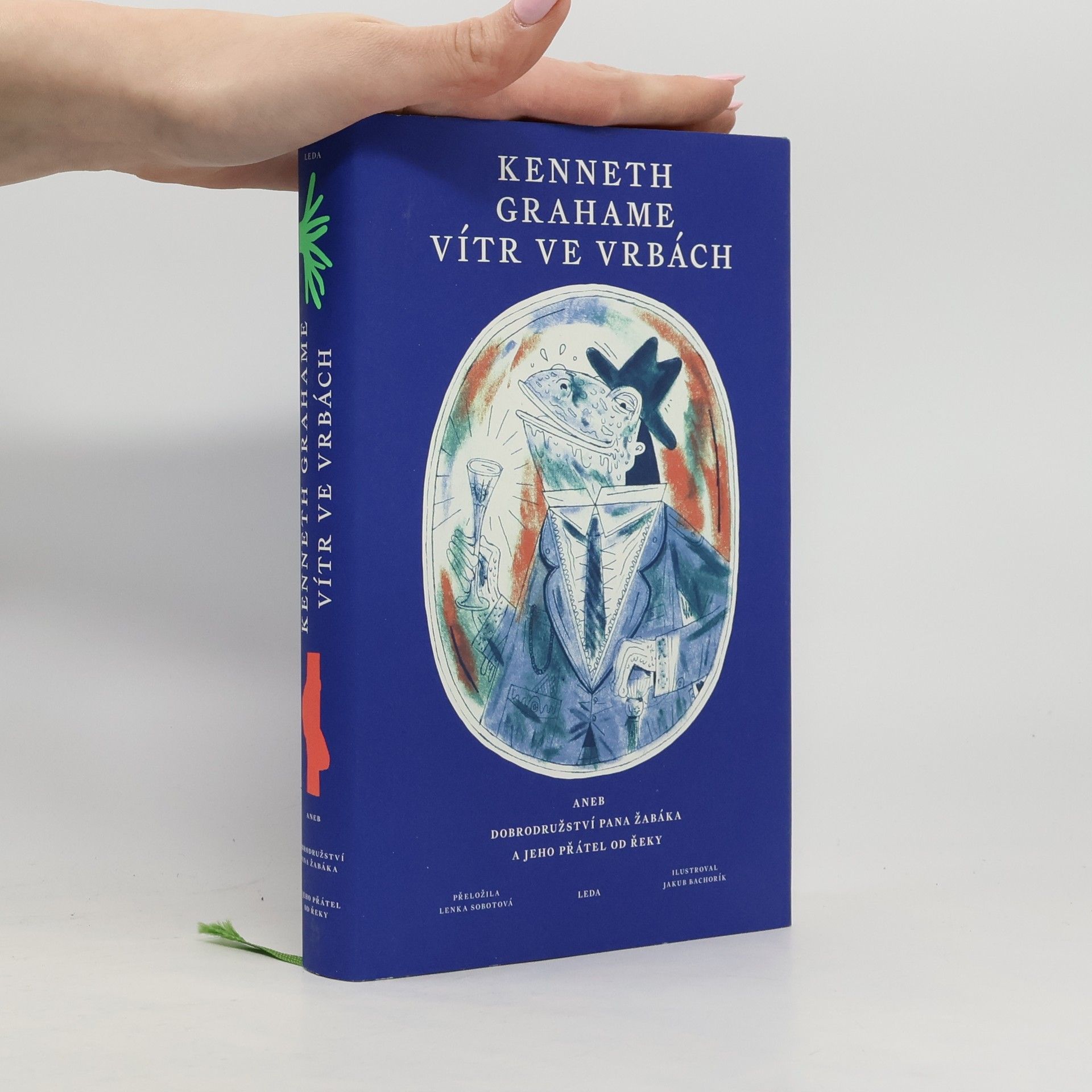 Kenneth Grahame Vítr ve vrbách, aneb, Dobrodružství pana Žabáka a jeho přátel od řeky