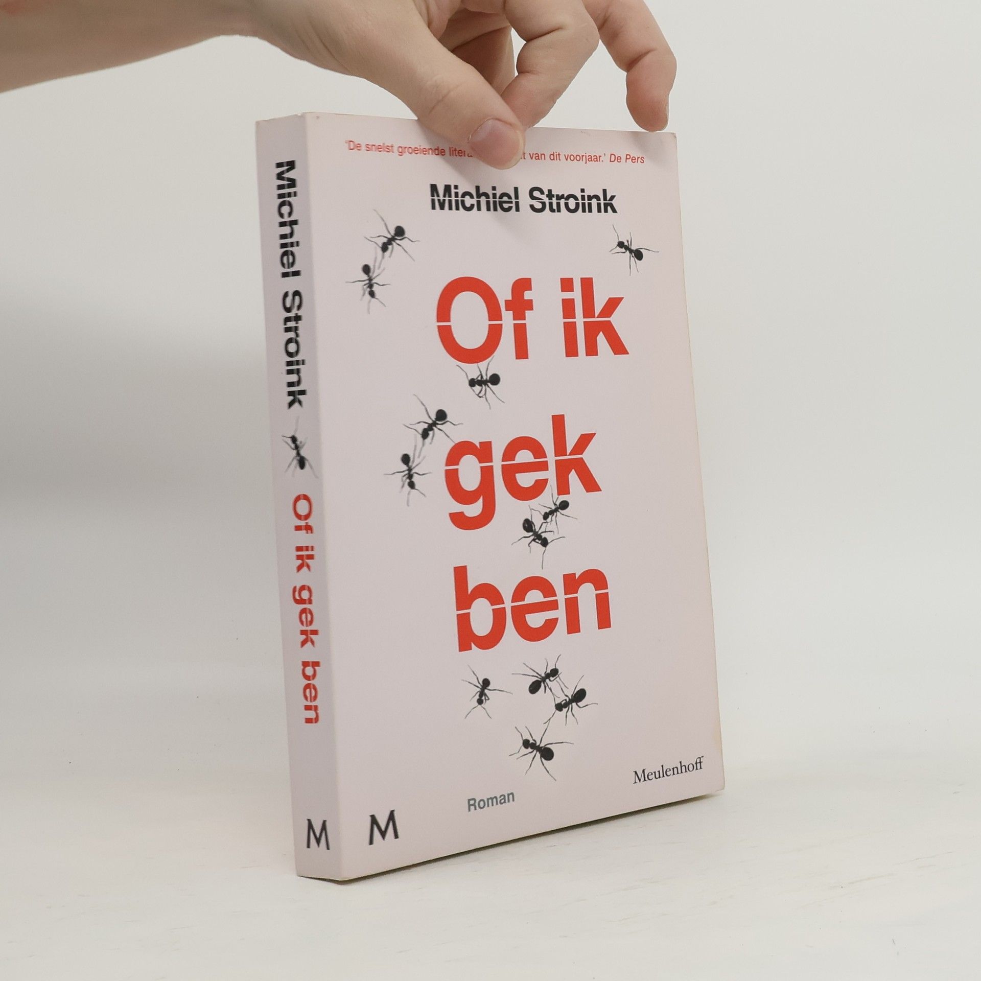 Michiel Stroink Of ik gek ben
