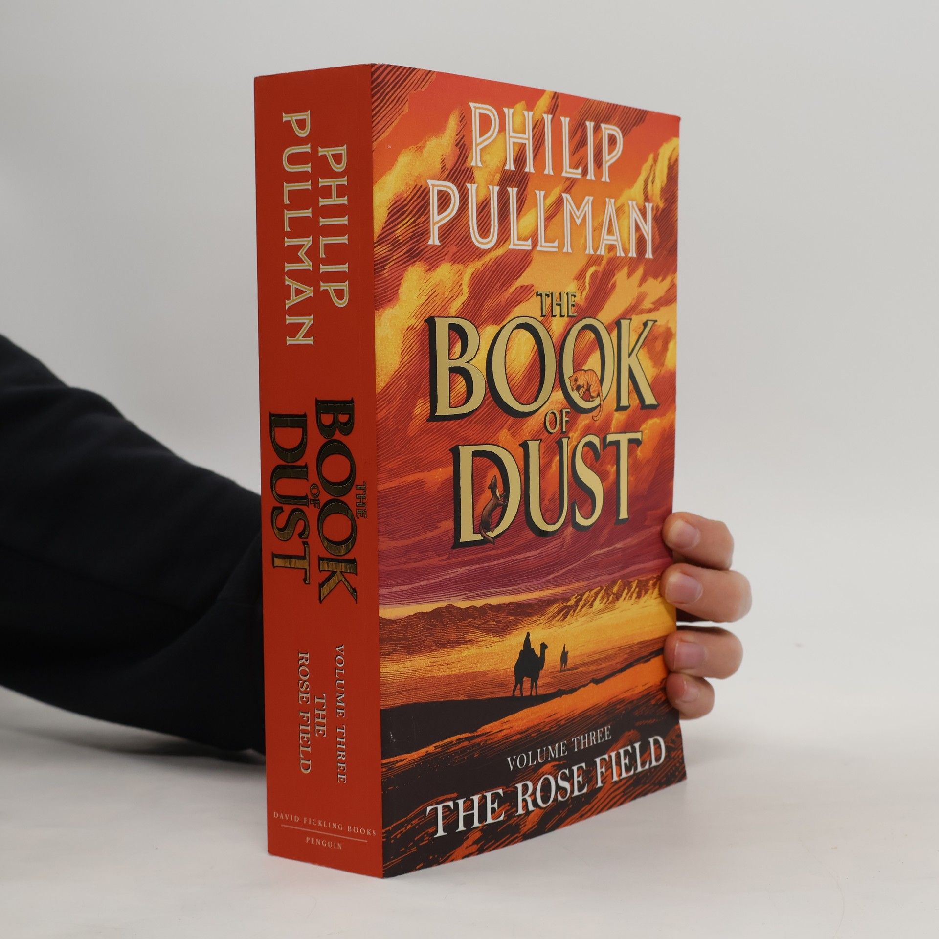 Philip Pullman The Rose Field: The Book of Dust Volume Three
