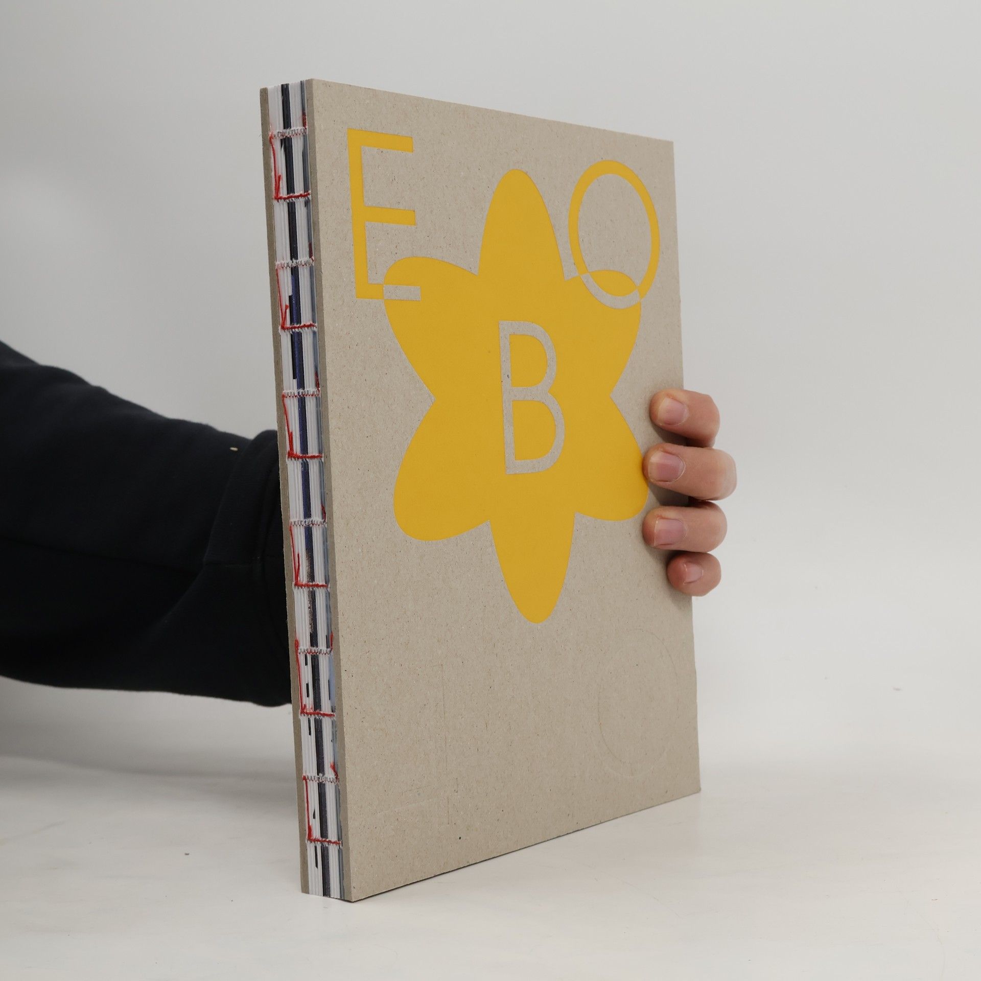 AA.VV. EBO 40. Slovenské elektrárne 2025