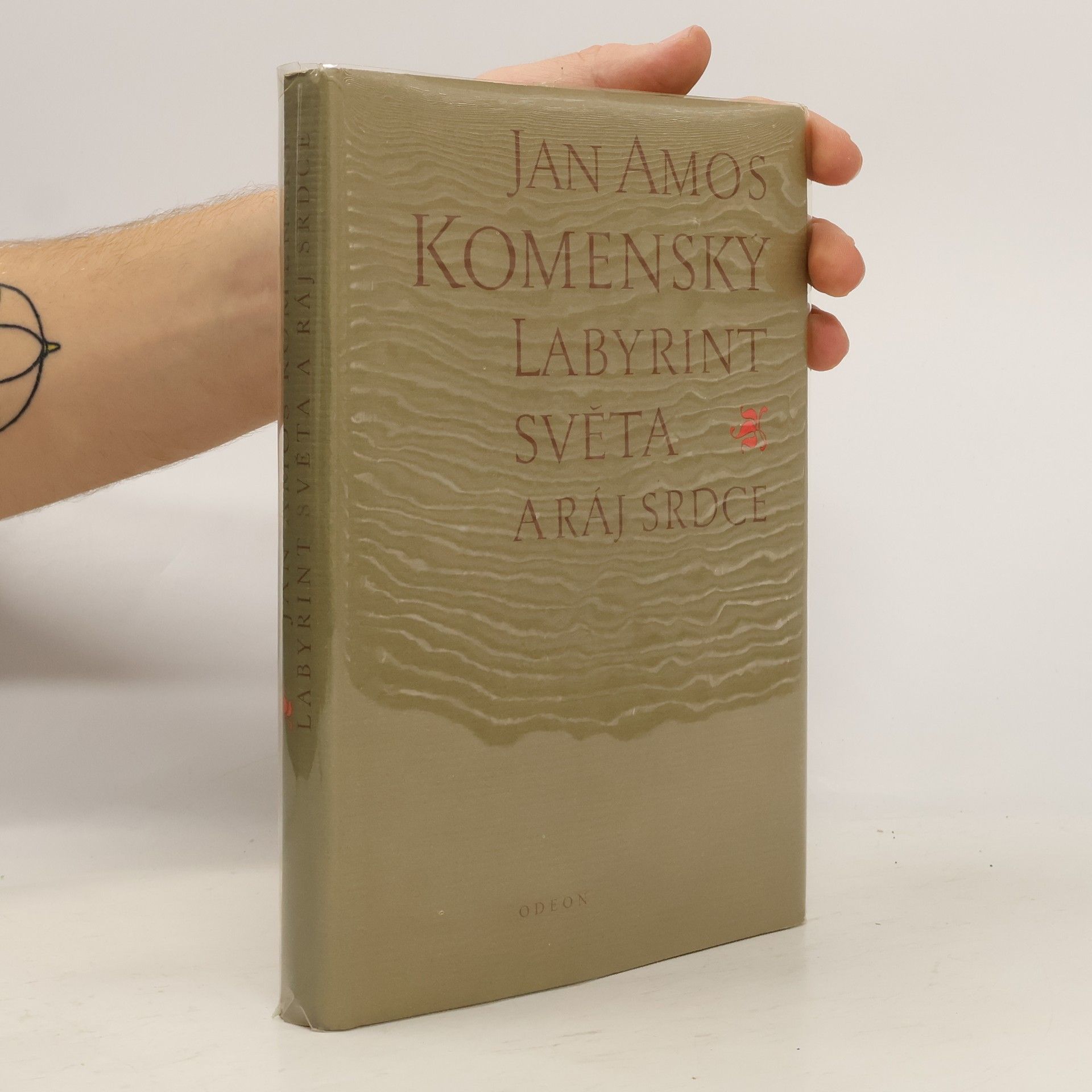 Jan Amos Komenský Labyrint světa a ráj srdce