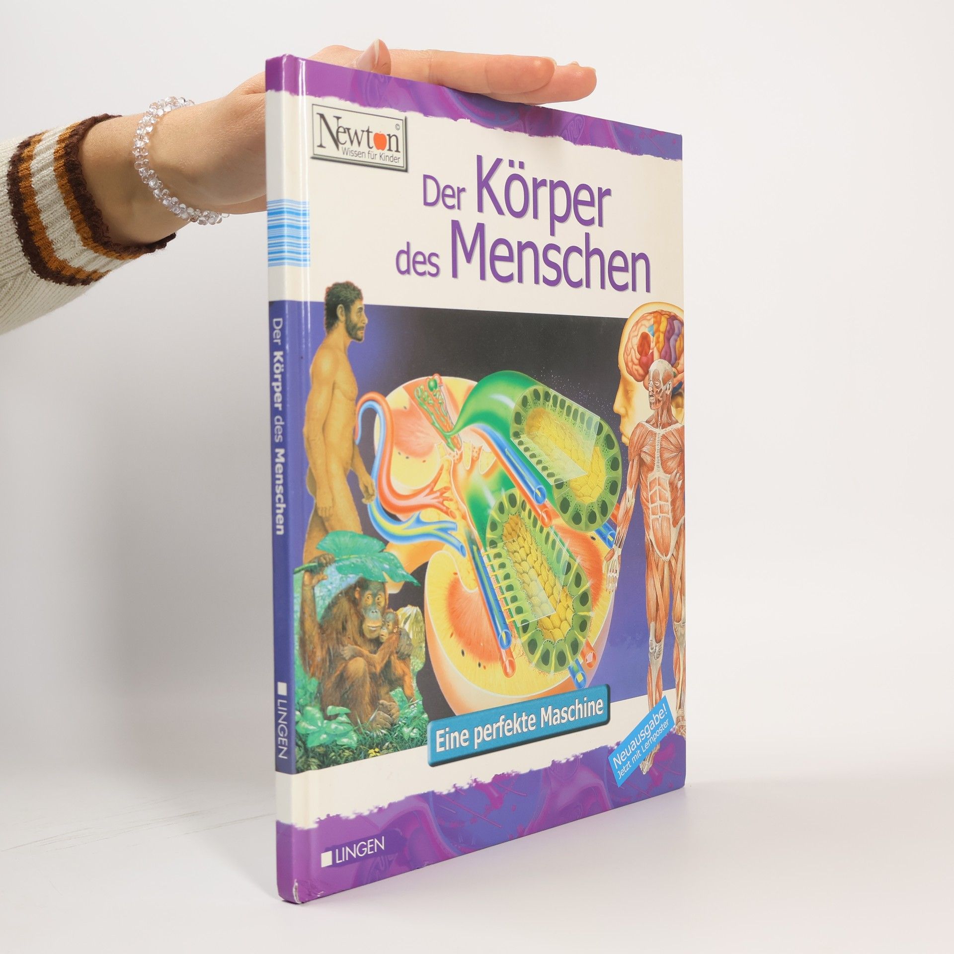 Various authors Der Körper des Menschen