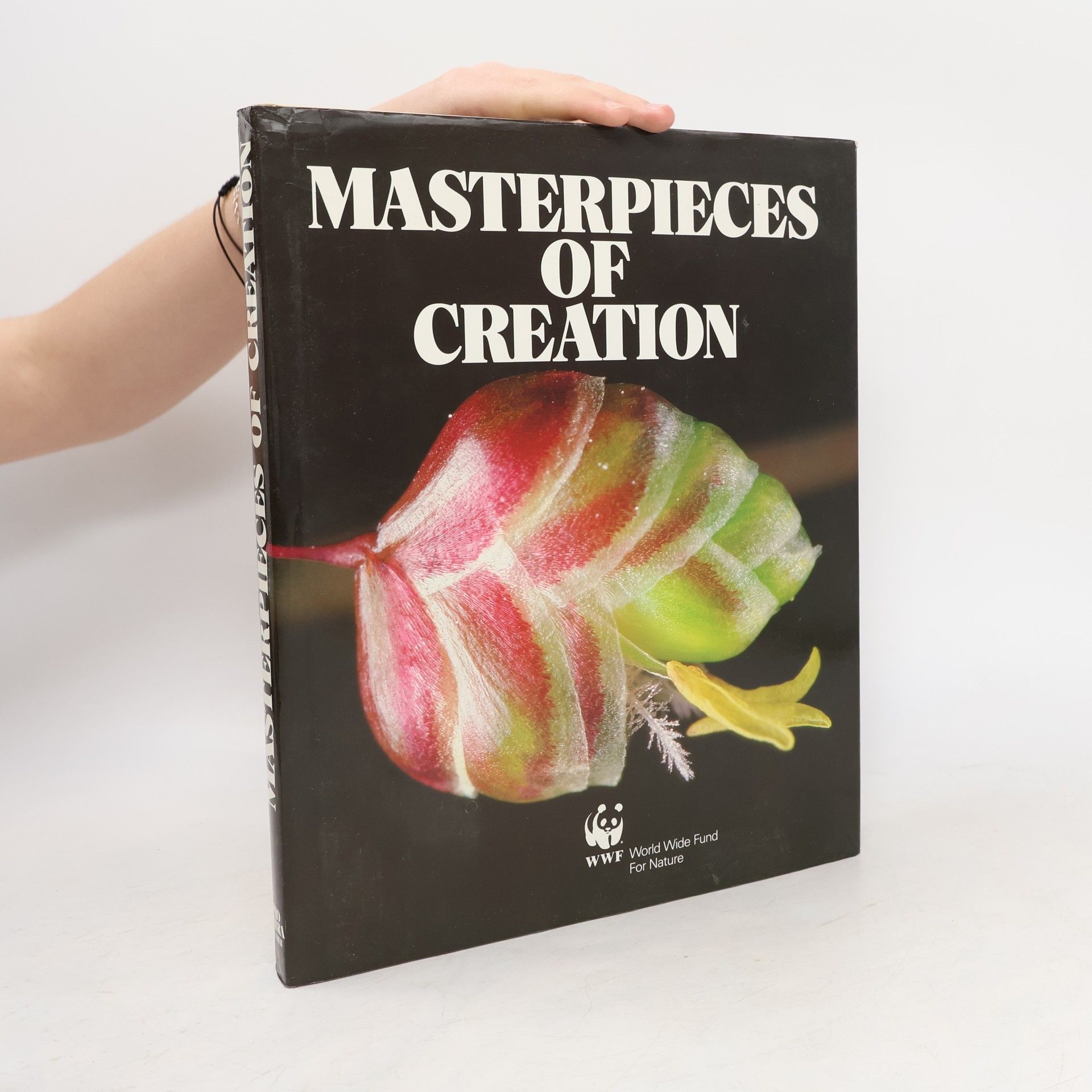 Kolektiv autorů Masterpieces of Creation