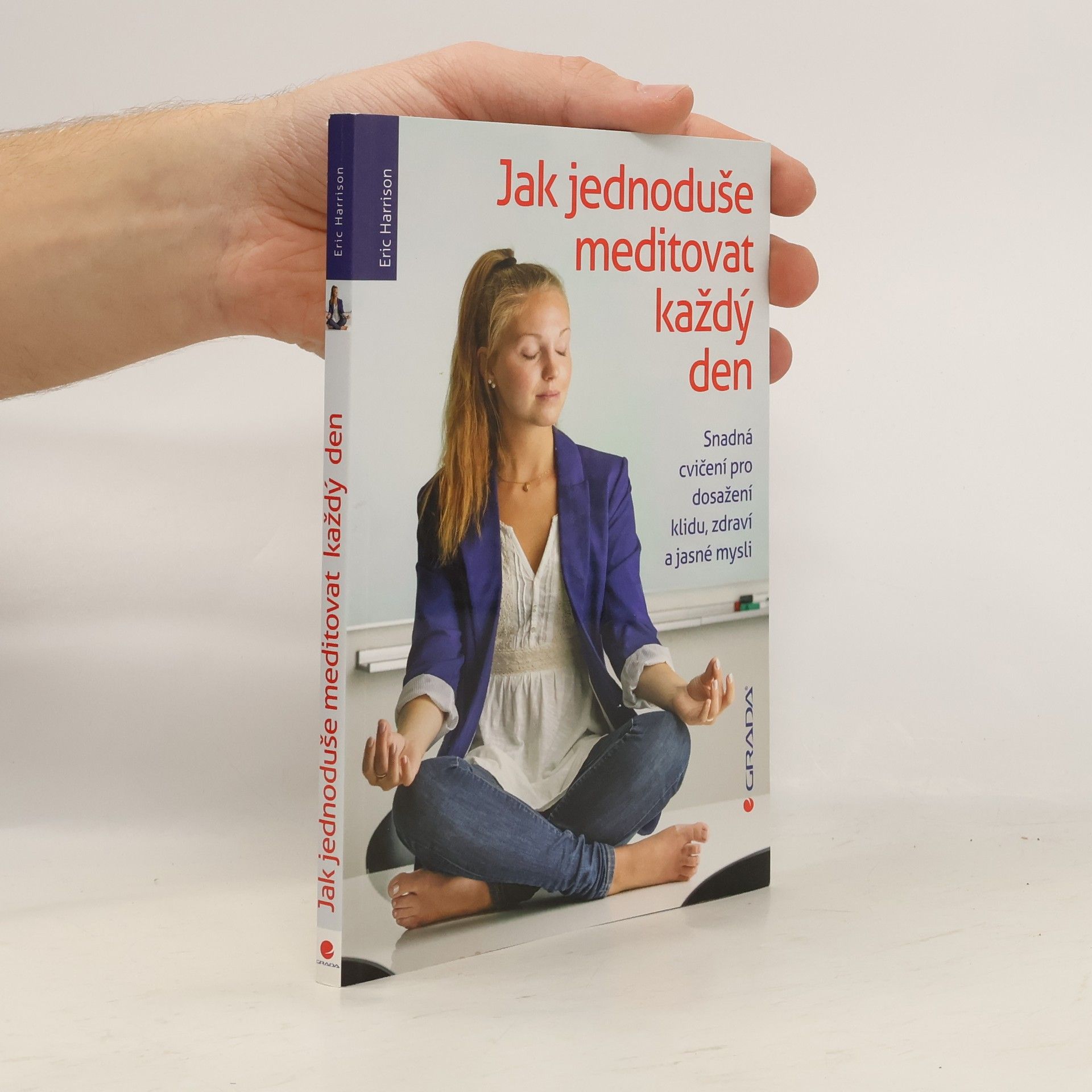 Eric Harrison Jak jednoduše meditovat každý den