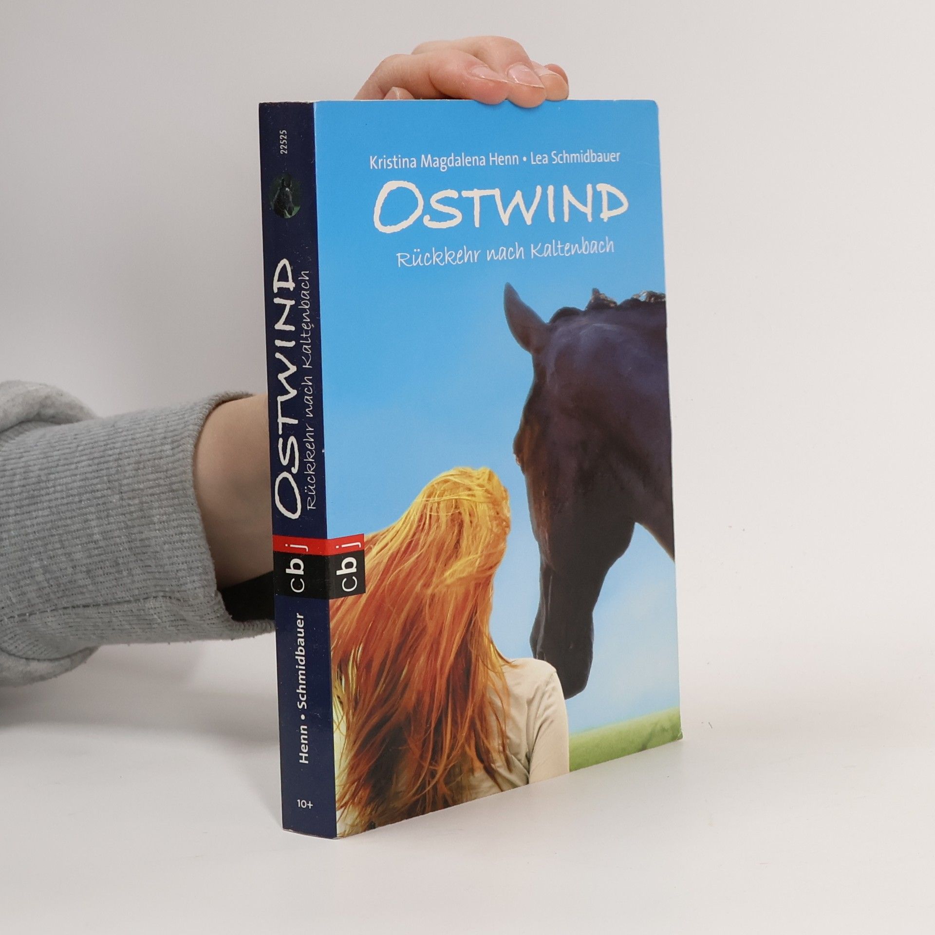 Kristina Magdalena Henn Ostwind - Rückkehr nach Kaltenbach