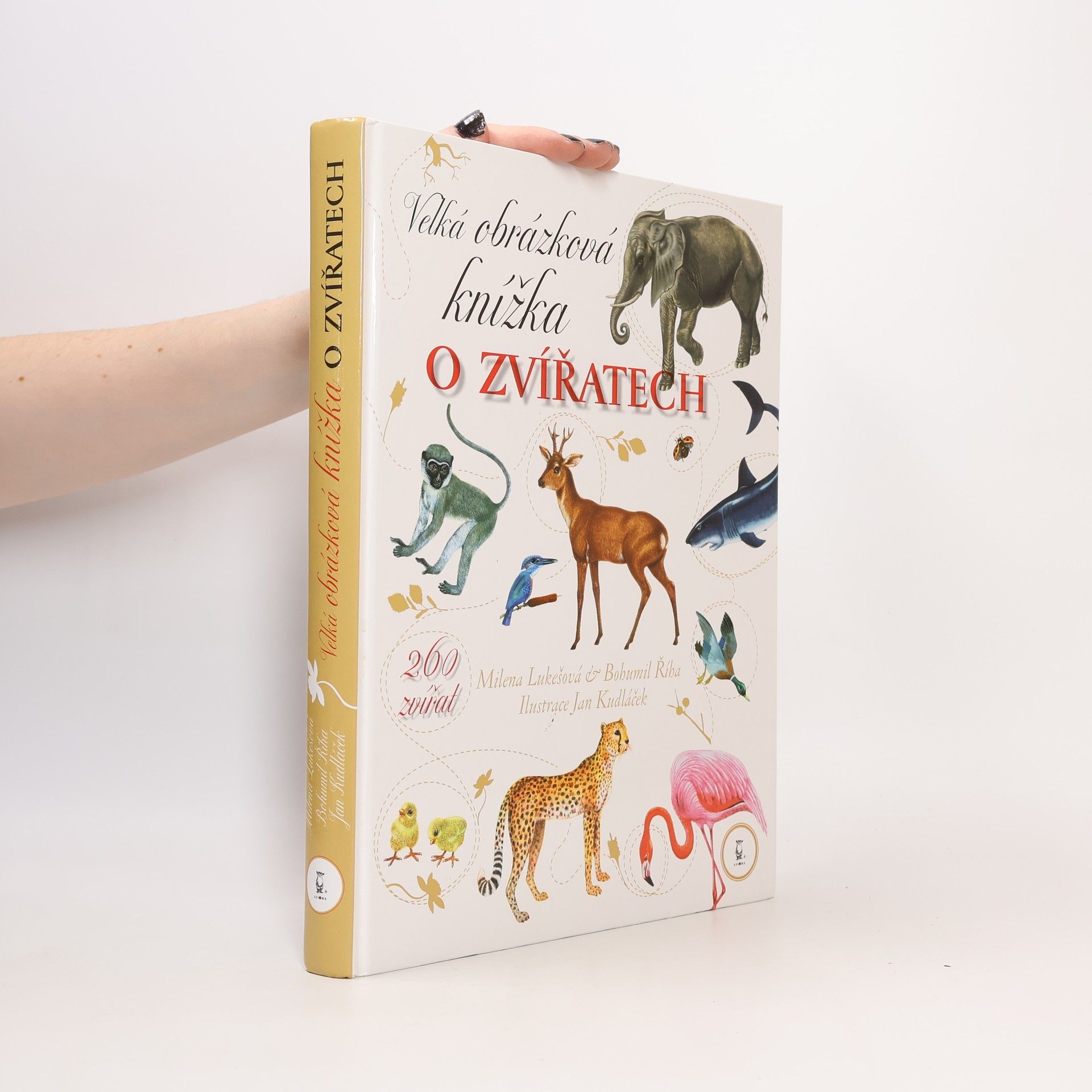 Velká obrázková knížka o zvířatech: 260 zvířat od A do Ž