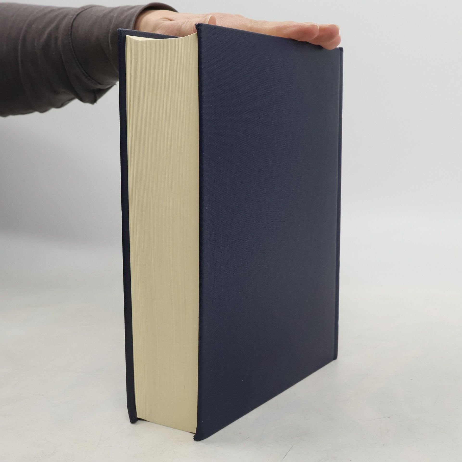 kolektiv Grosse Konkordanz zur Lutherbibel