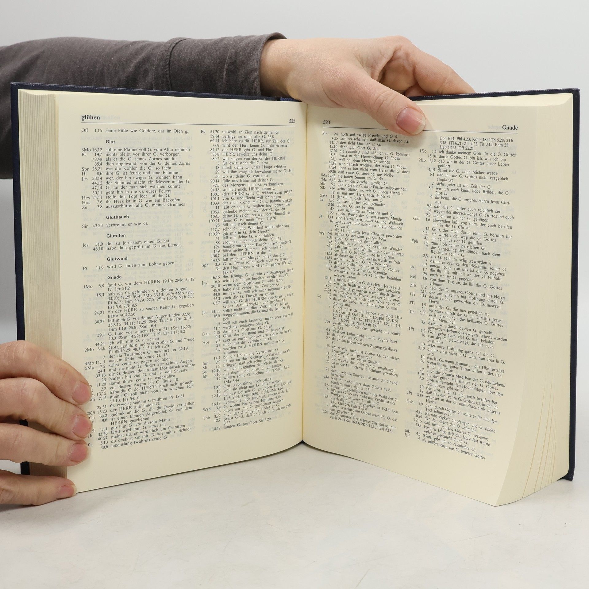 kolektiv Grosse Konkordanz zur Lutherbibel