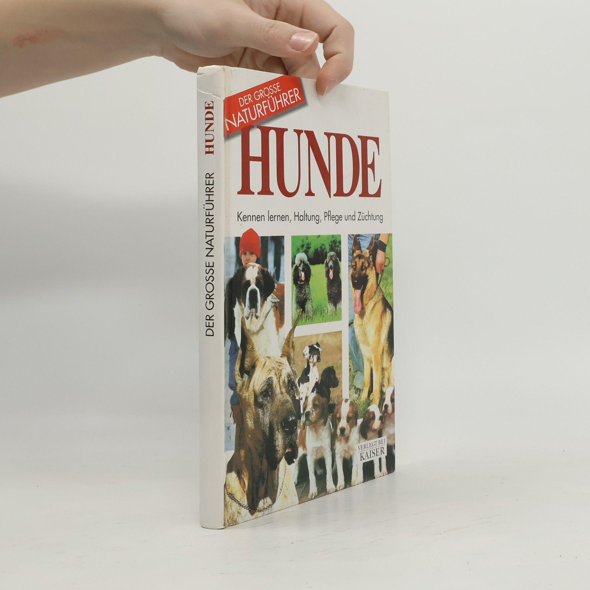 Rino Falappi Der Grosse Naturführer Hunde