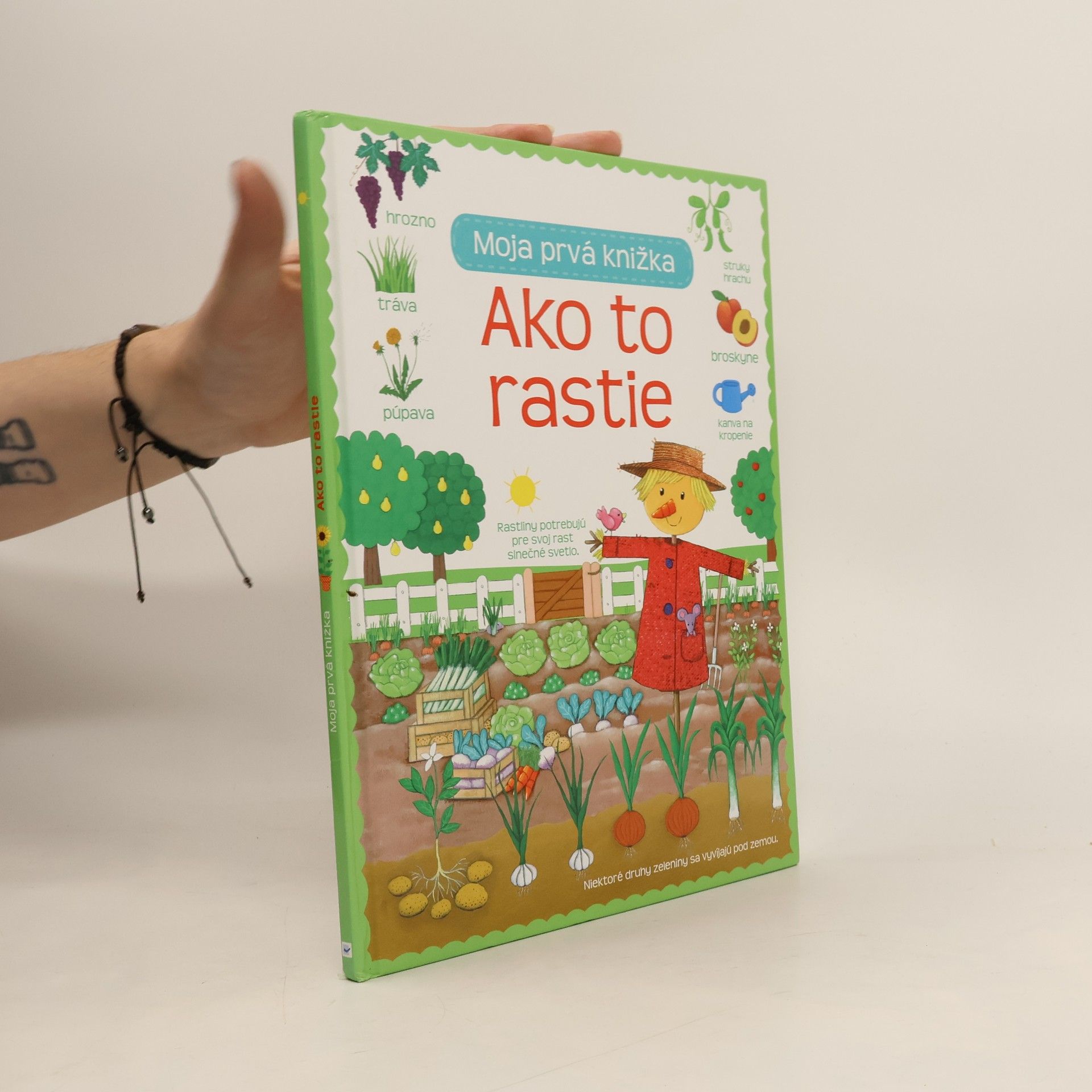 Collectif d'auteurs Ako to rastie