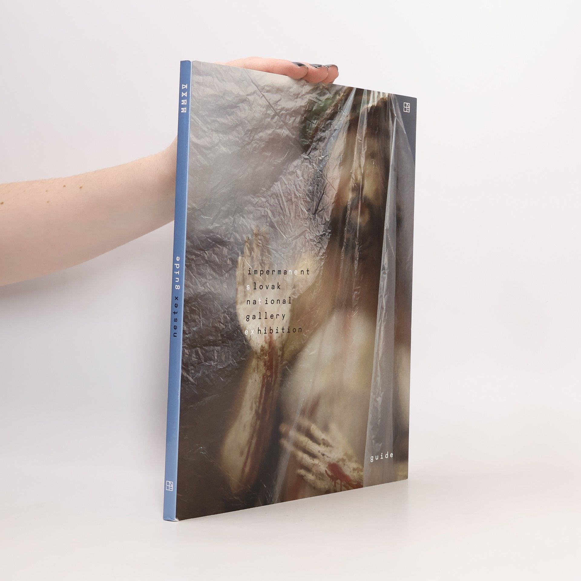 Dušan Buran Impermanent slovak national gallery exhibition