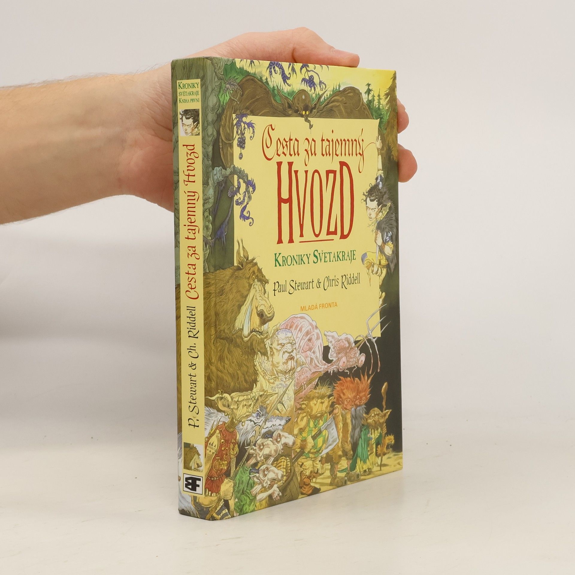 Paul Stewart Cesta za tajemný Hvozd. Kniha první