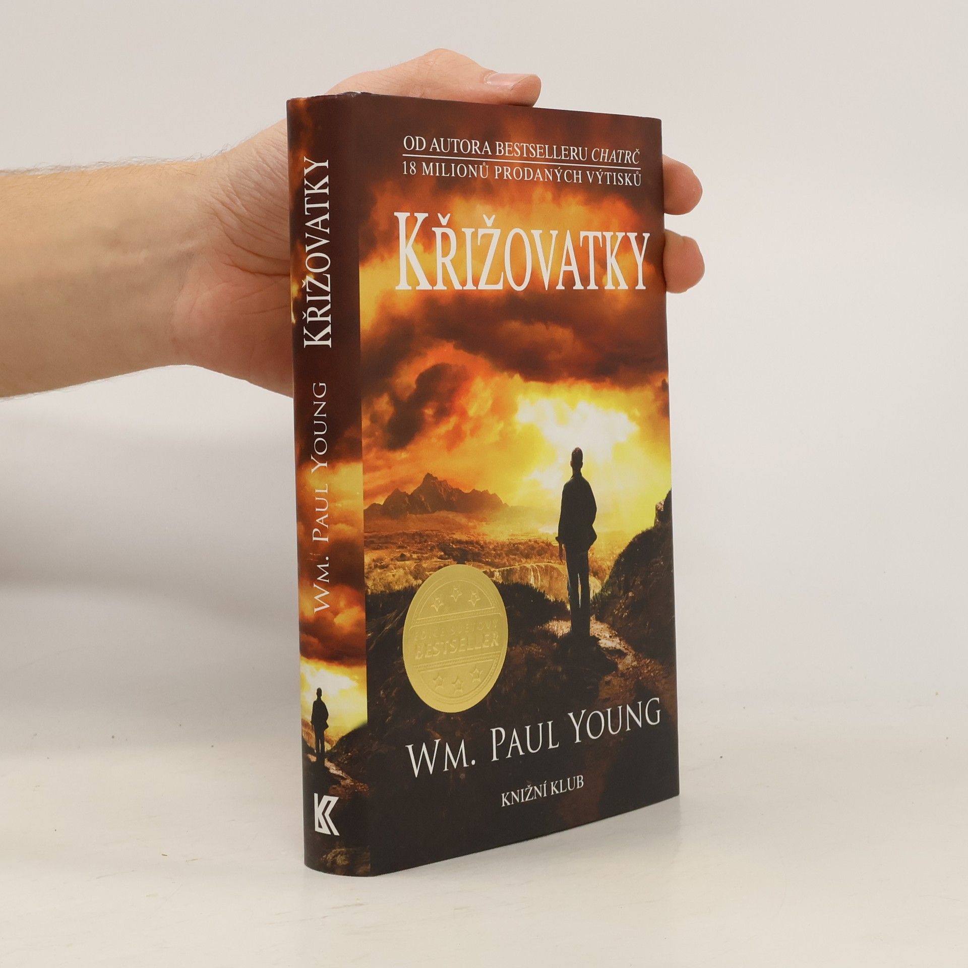 William Paul Young Křižovatky