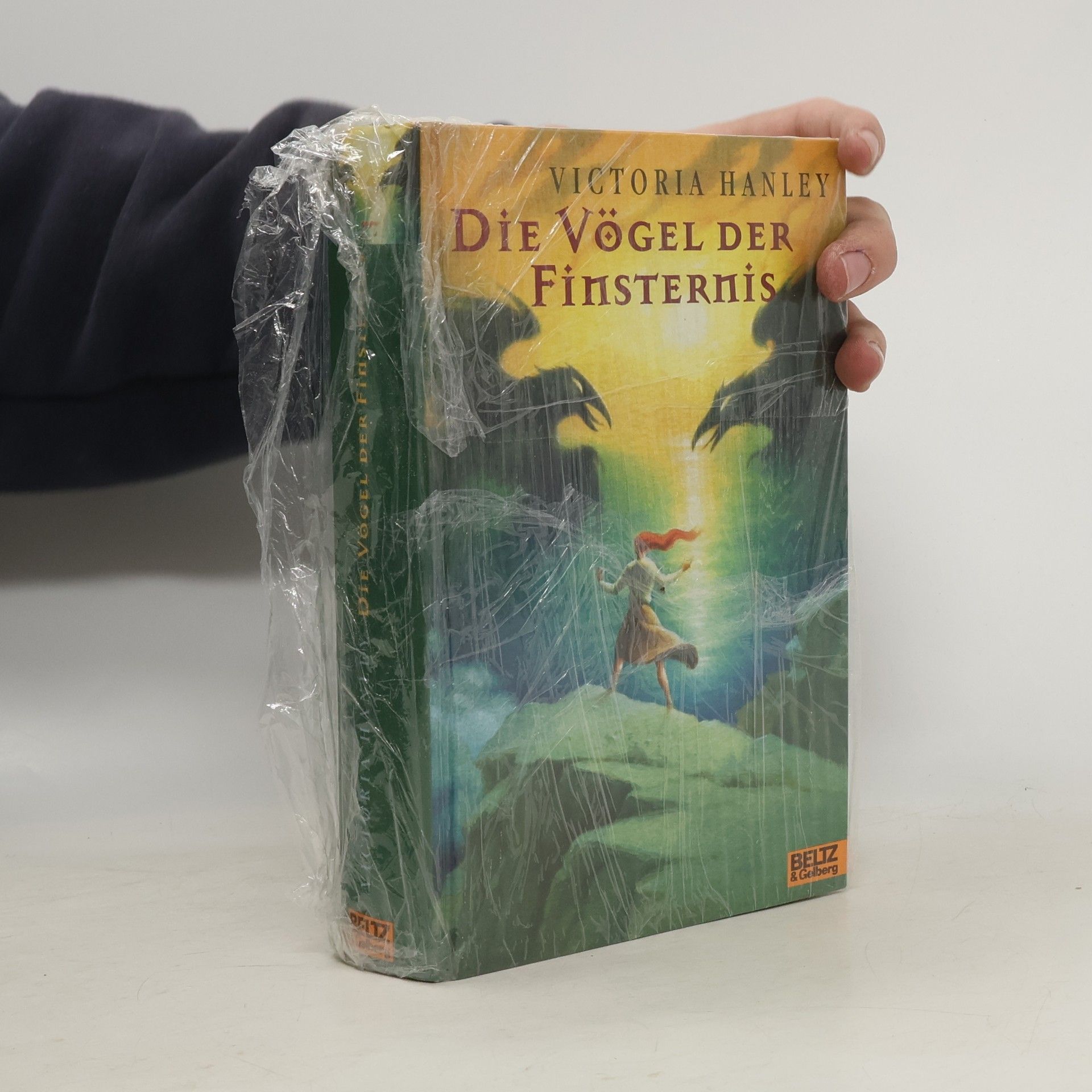 Die Vögel der Finsternis