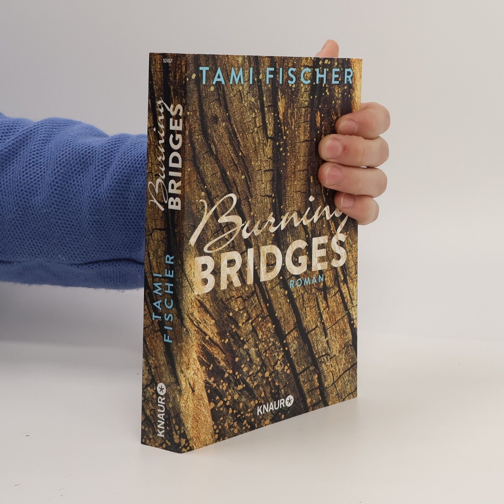 Tami Fischer Burning bridges