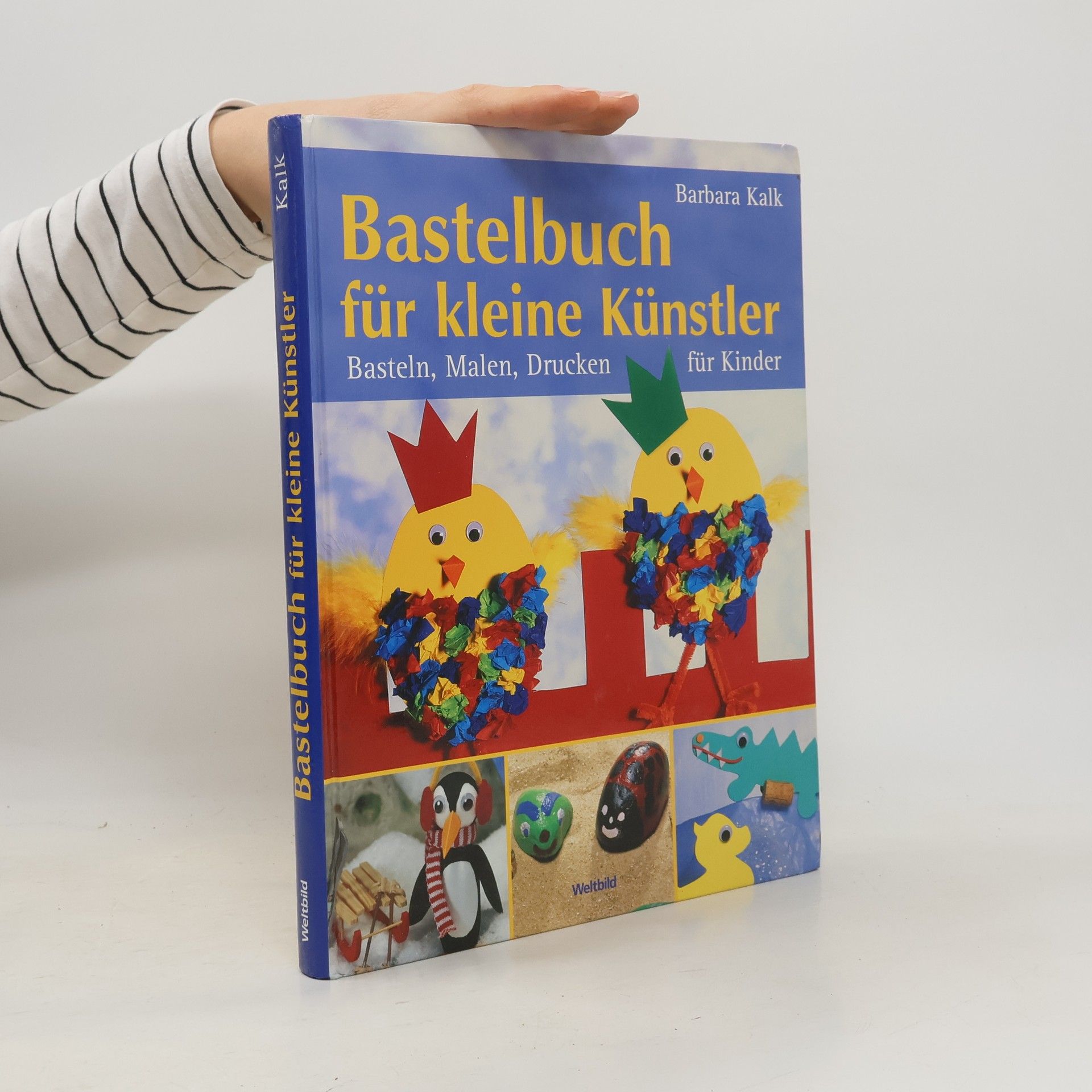 Barbara Kalk Bastelbuch für kleine Künstler