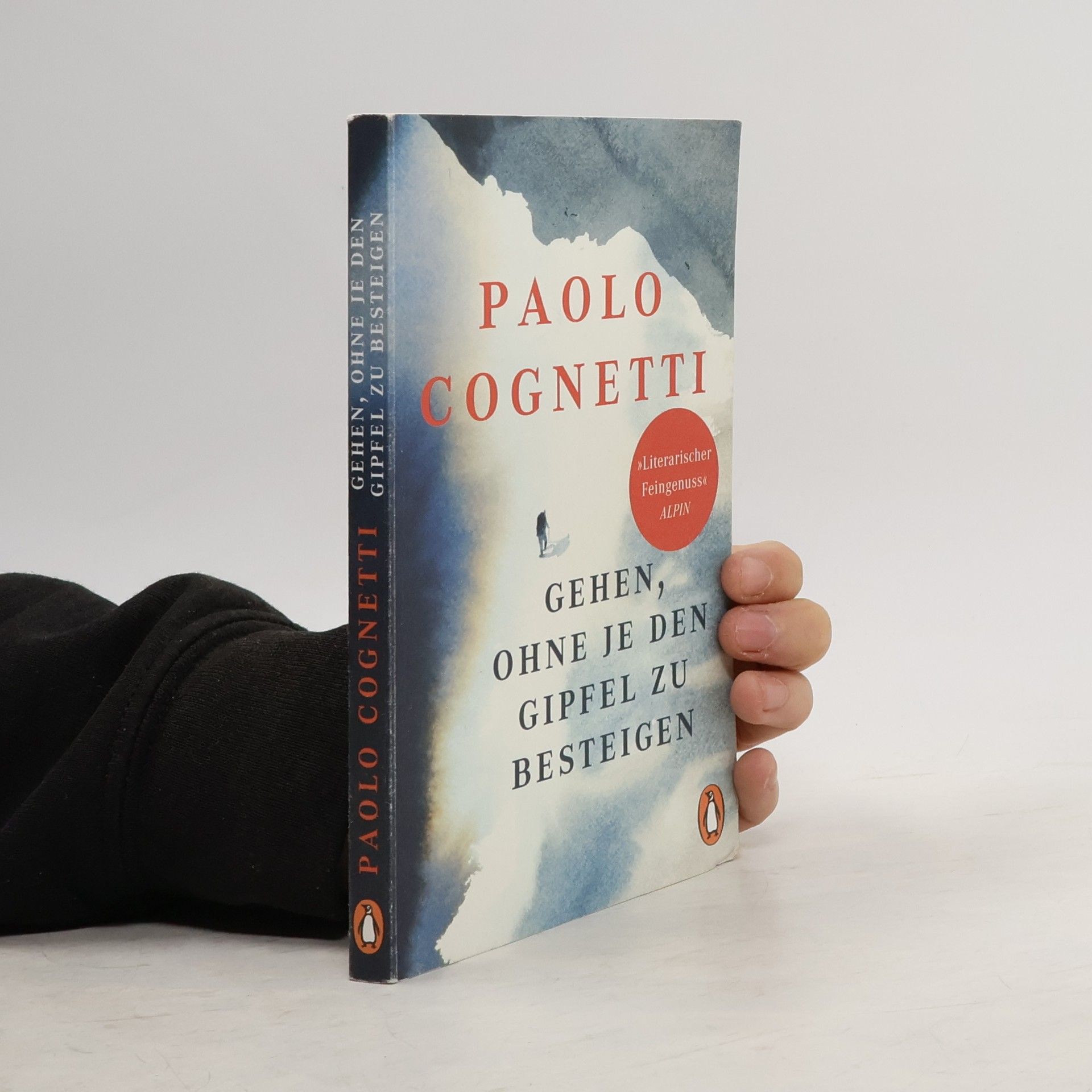 Paolo Cognetti Gehen, ohne je den Gipfel zu besteigen