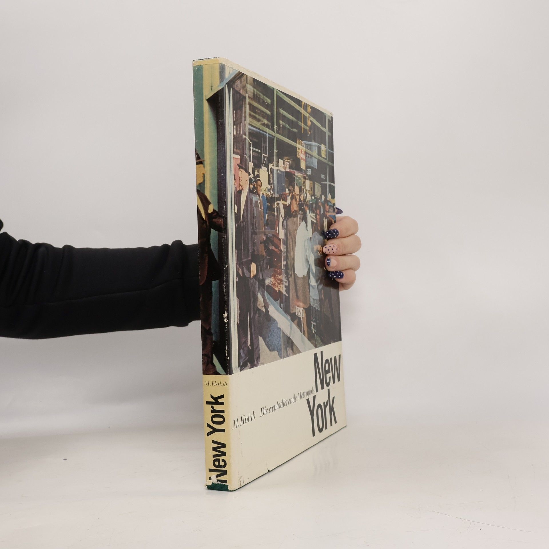 Miroslav Holub Die explodierende Metropole New York