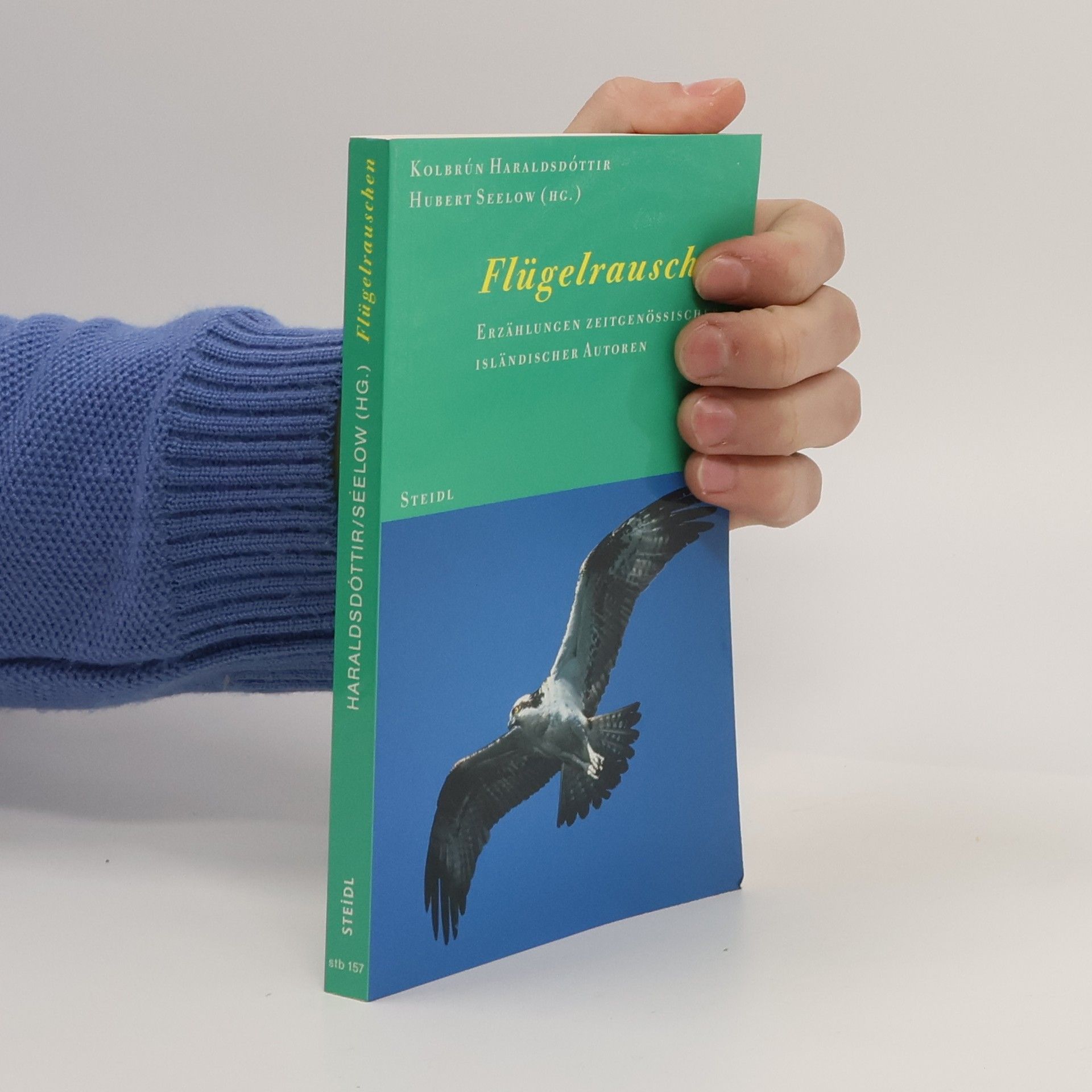 Kolbrún Haraldsdóttir Flügelrauschen