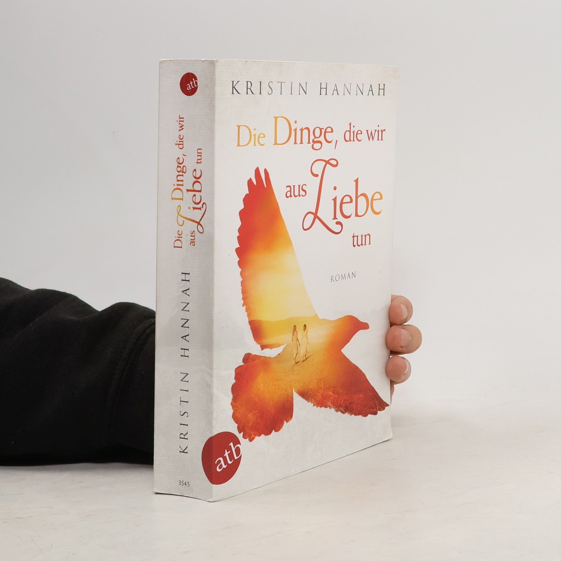 Kristin Hannah Die Dinge, die wir aus Liebe tun
