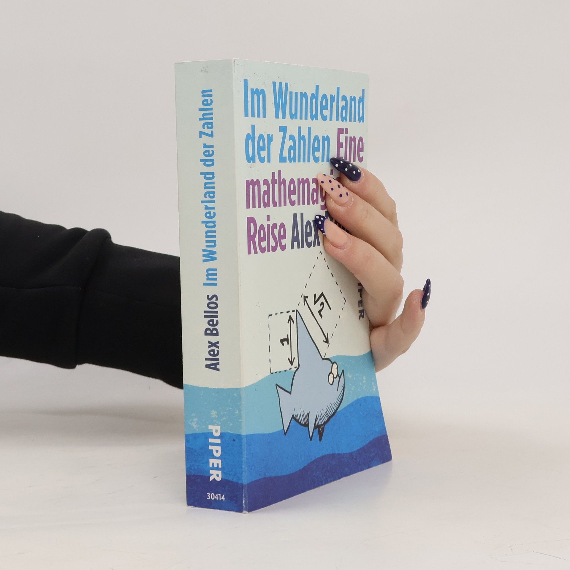 Alex Bellos Im Wunderland der Zahlen