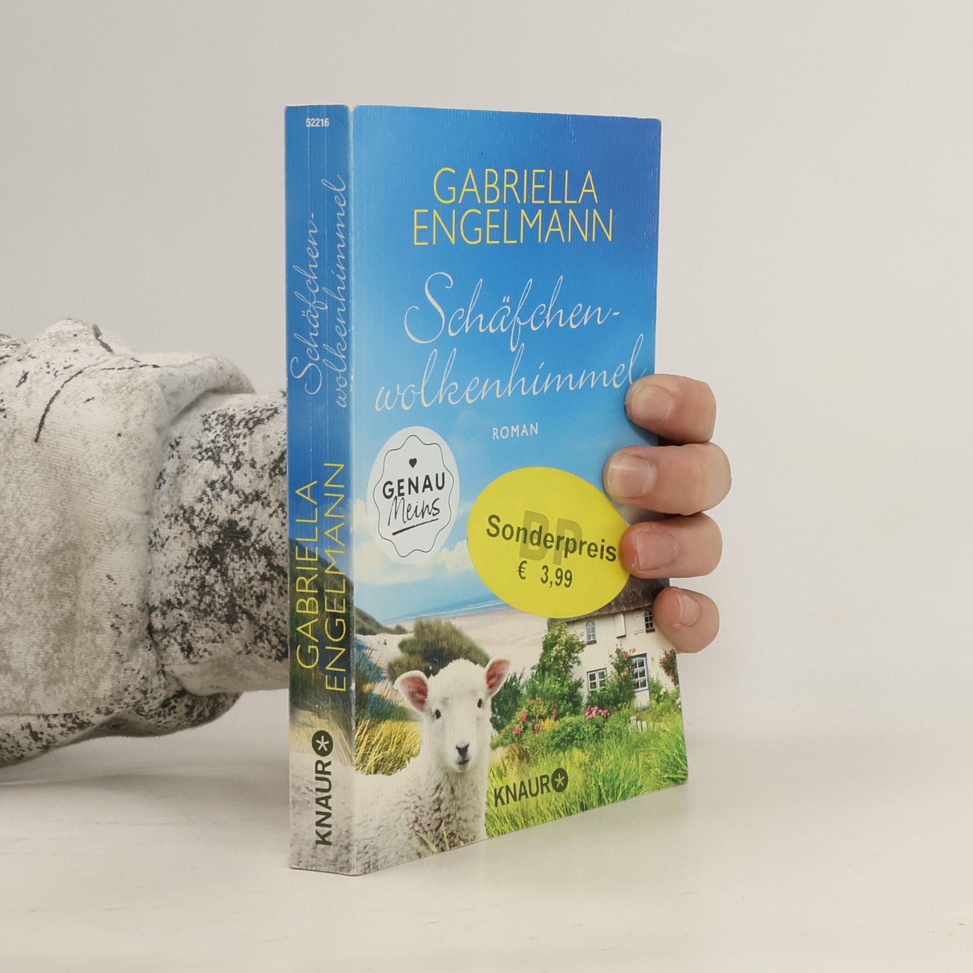 Gabriella Engelmann Schäfchenwolkenhimmel