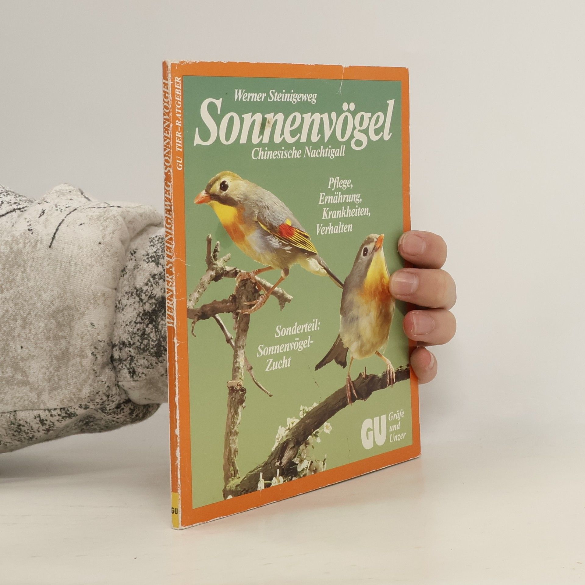 Sonnenvögel - Chinesische Nachtigall