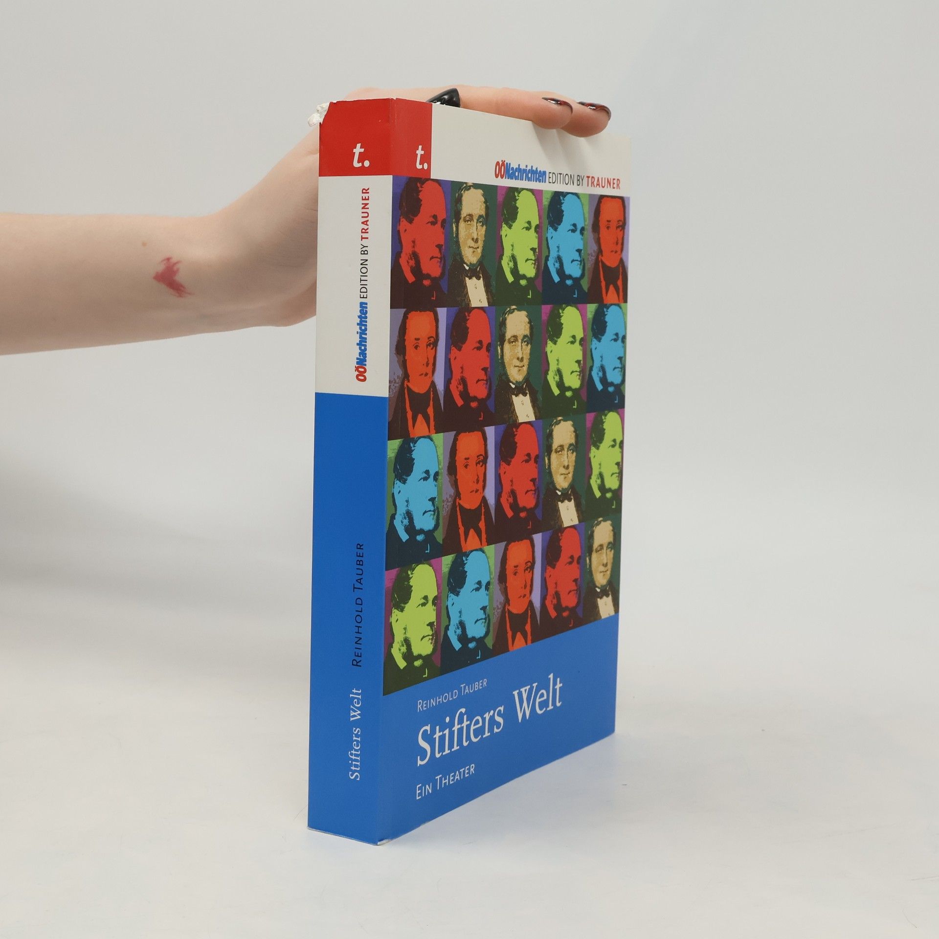 Reinhold Tauber Stifters Welt