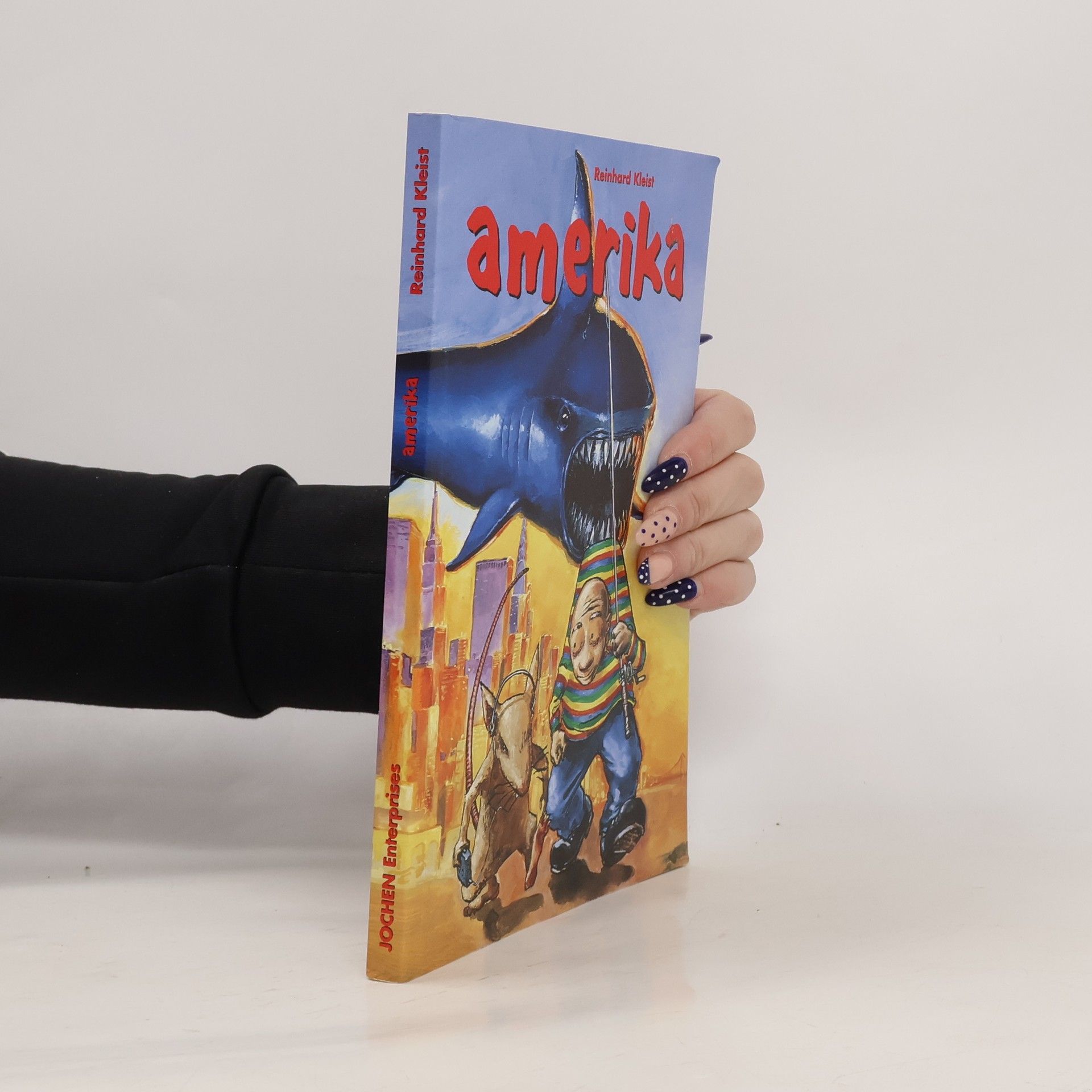 Reinhard Kleist Amerika