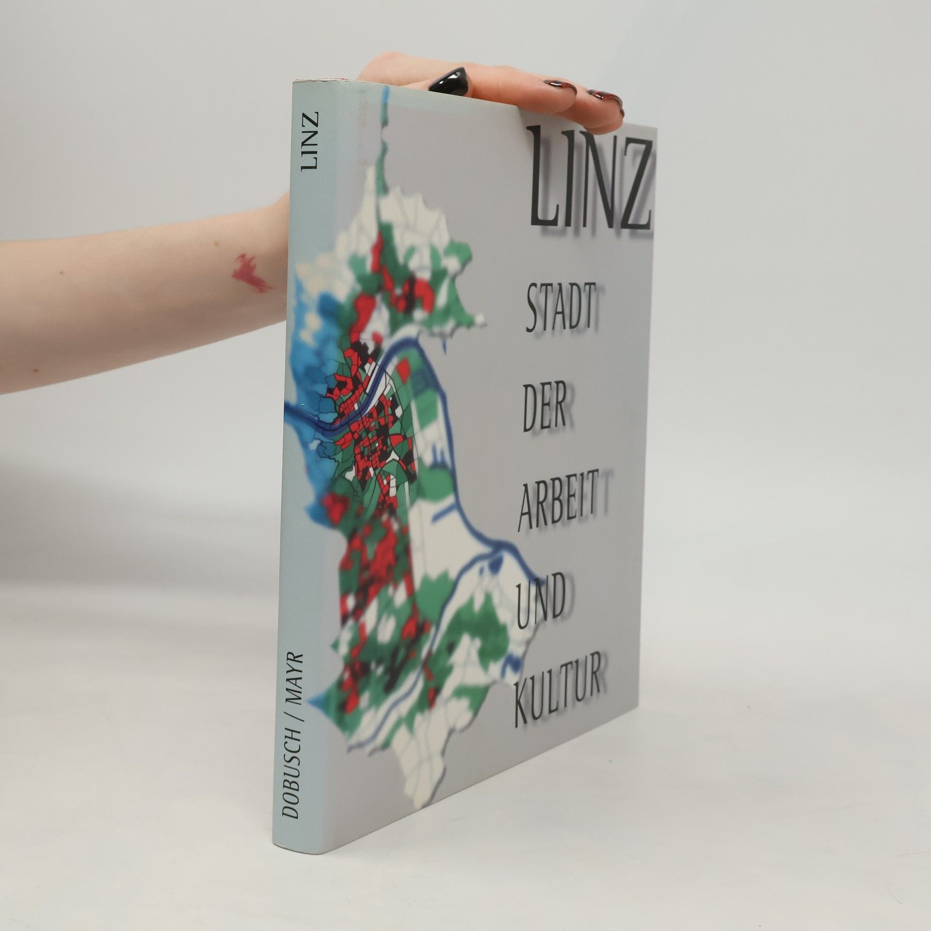 Franz Dobusch Linz: Stadt der Arbeit und Kultur