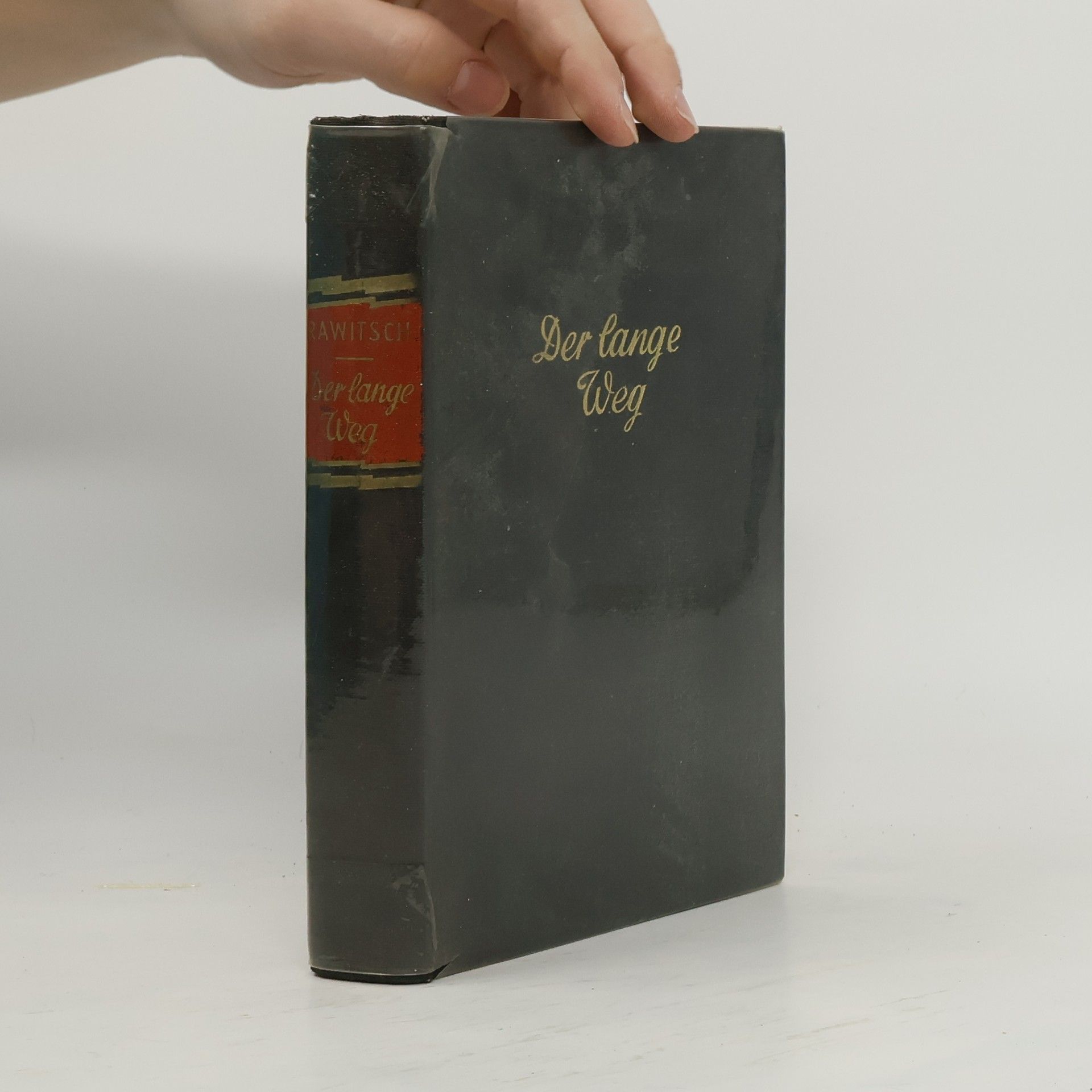 Slavomir Rawitsch Der lange Weg