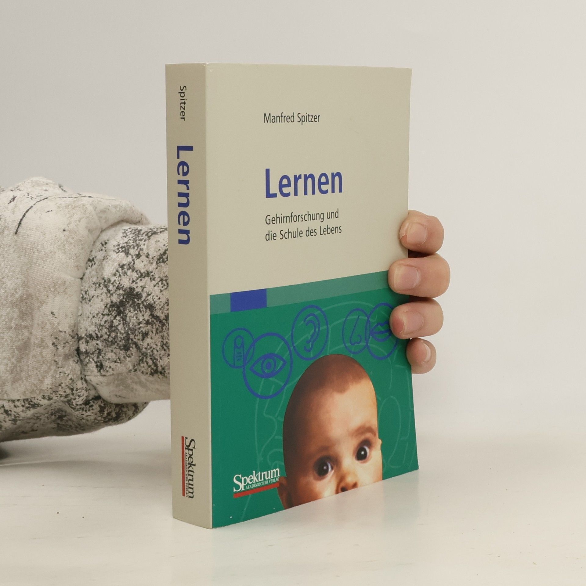 Manfred Spitzer Lernen : Gehirnforschung und die Schule des Lebens