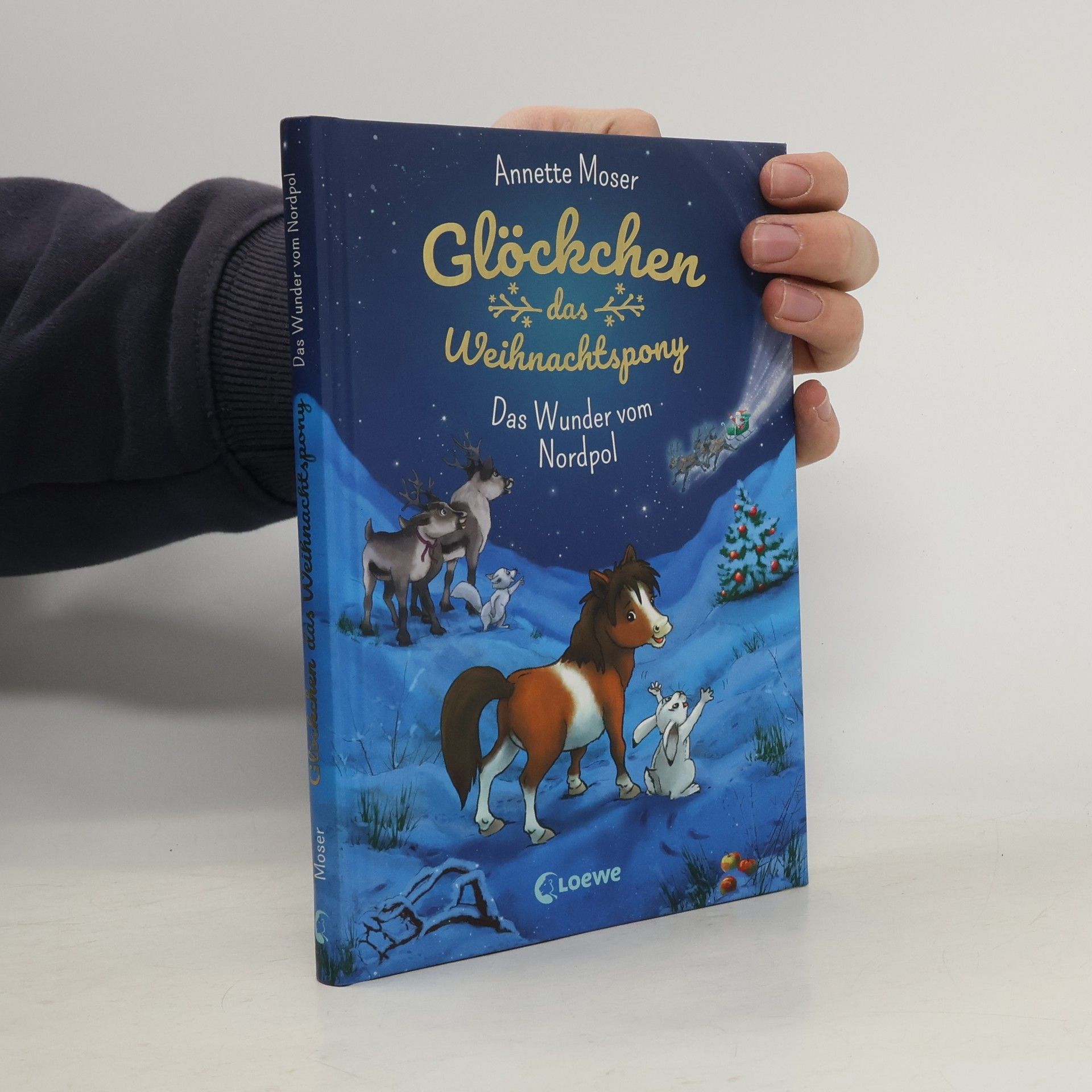 Annette Moser Das Wunder vom Nordpol