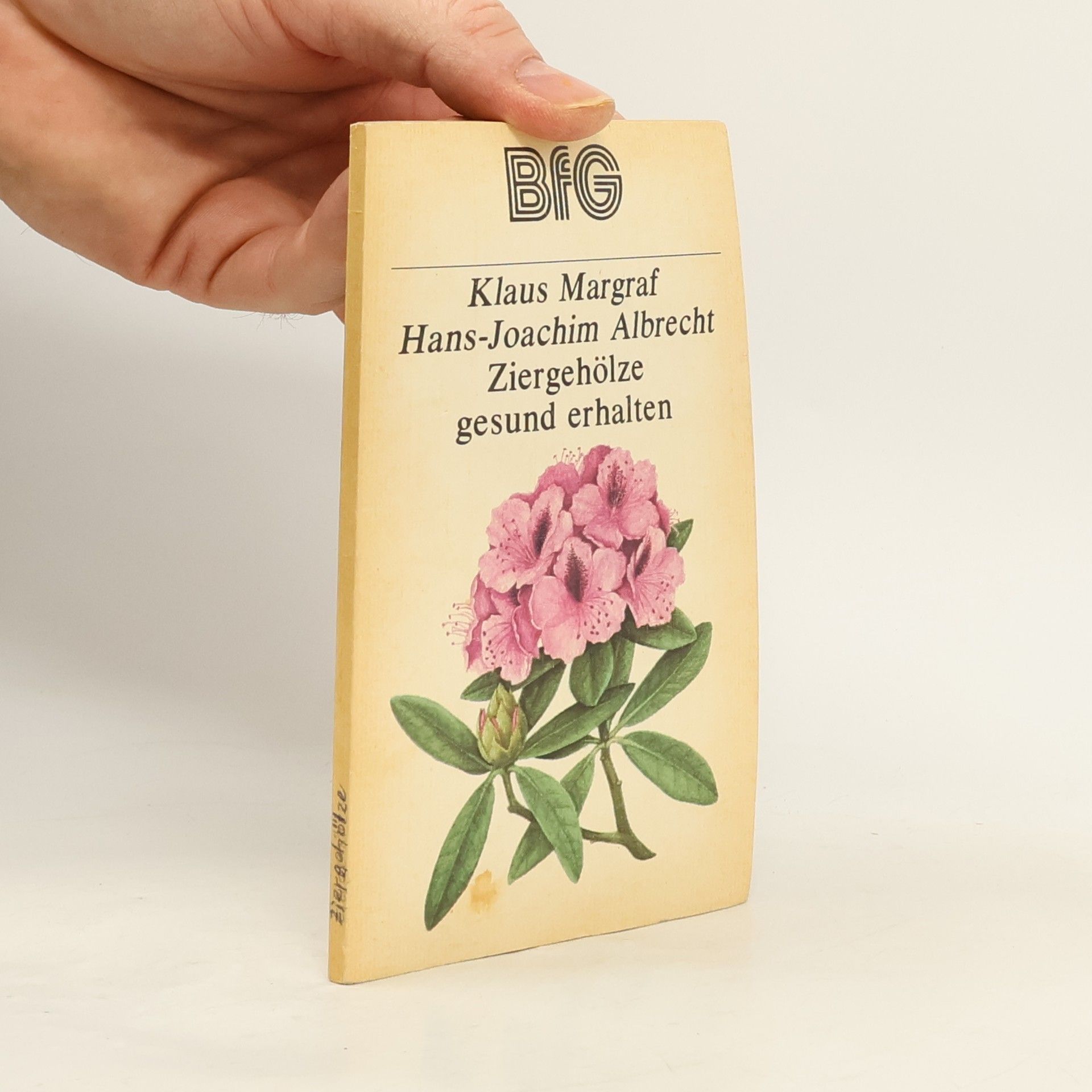 Ziergehölze gesund erhalten